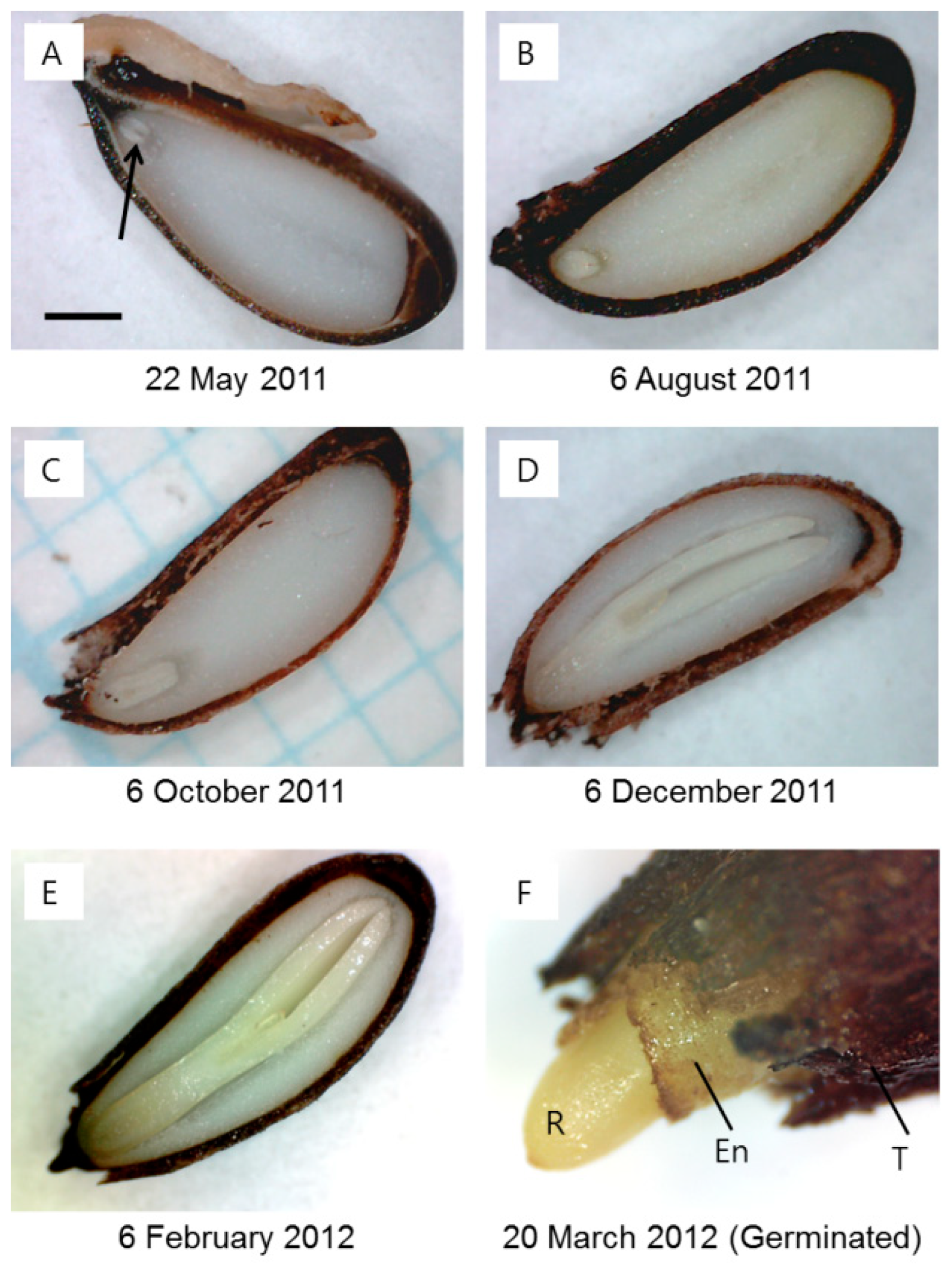 Plants 14 00251 g002