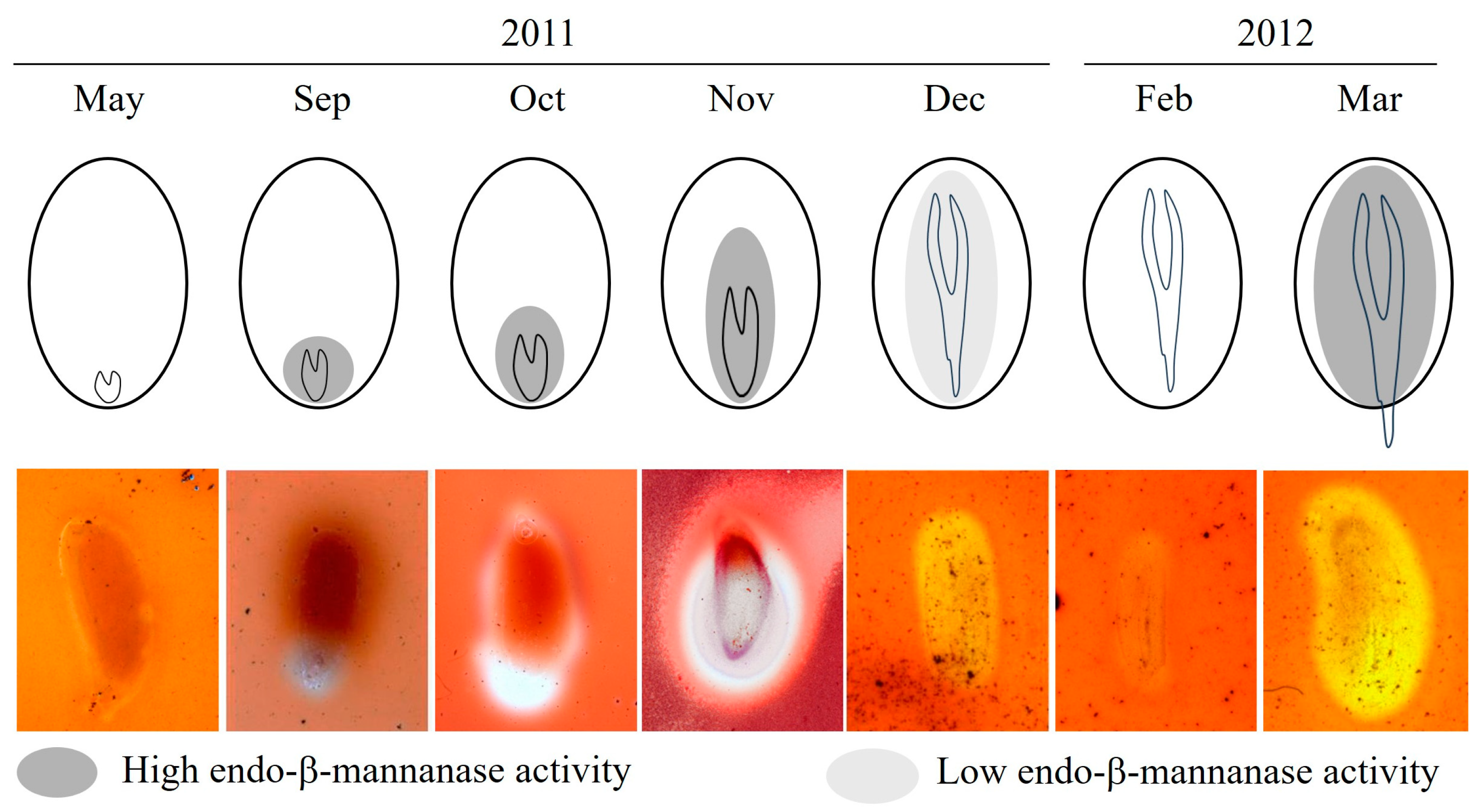 Plants 14 00251 g004