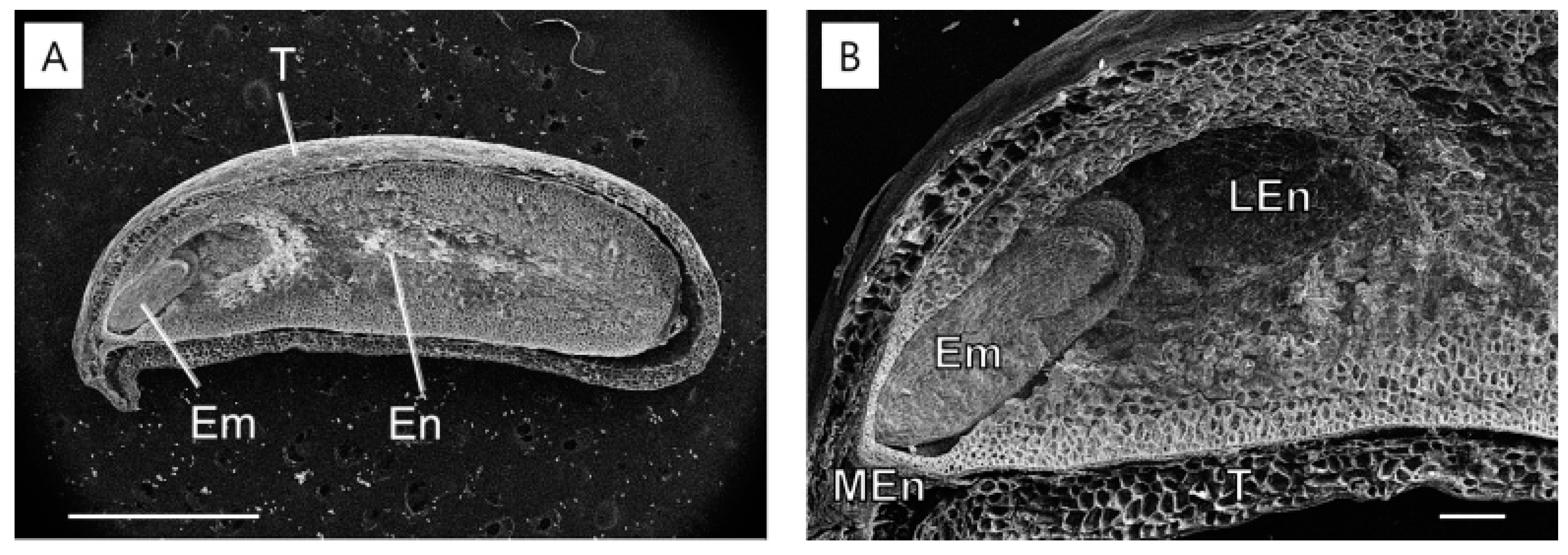 Plants 14 00251 g006