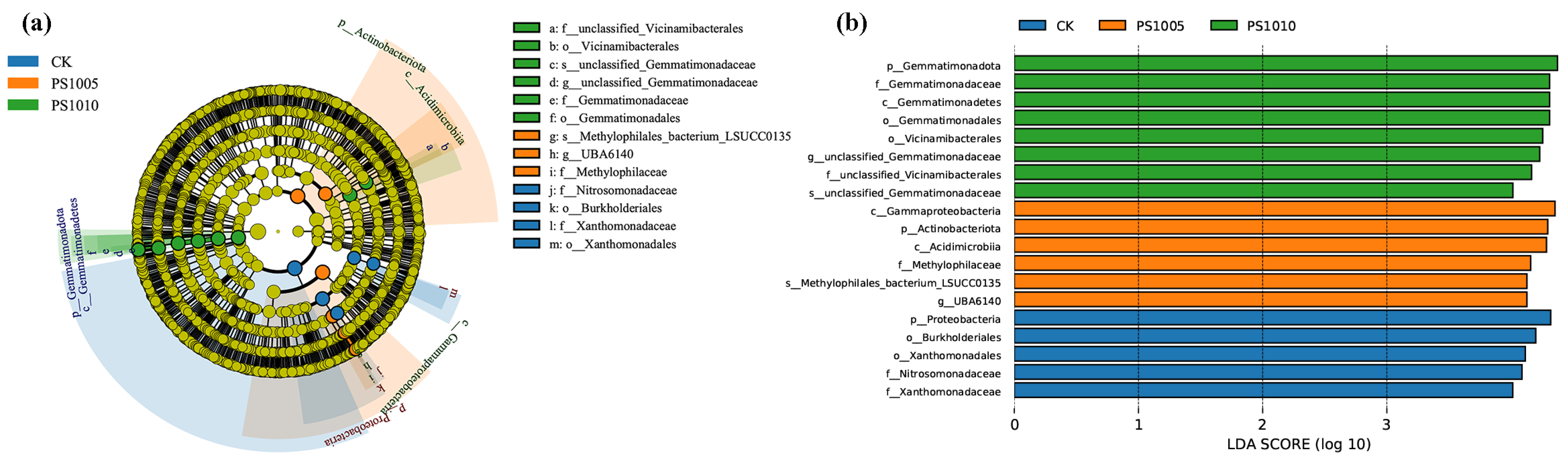 Plants 14 00256 g005 Plants 14 00256 g005