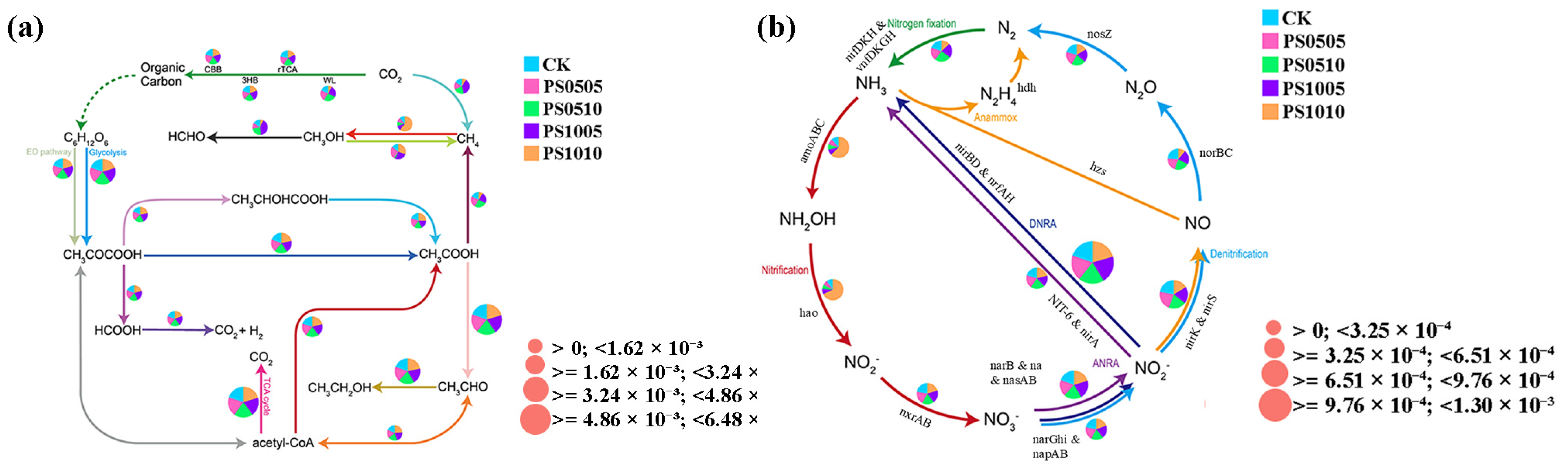 Plants 14 00256 g009 Plants 14 00256 g009