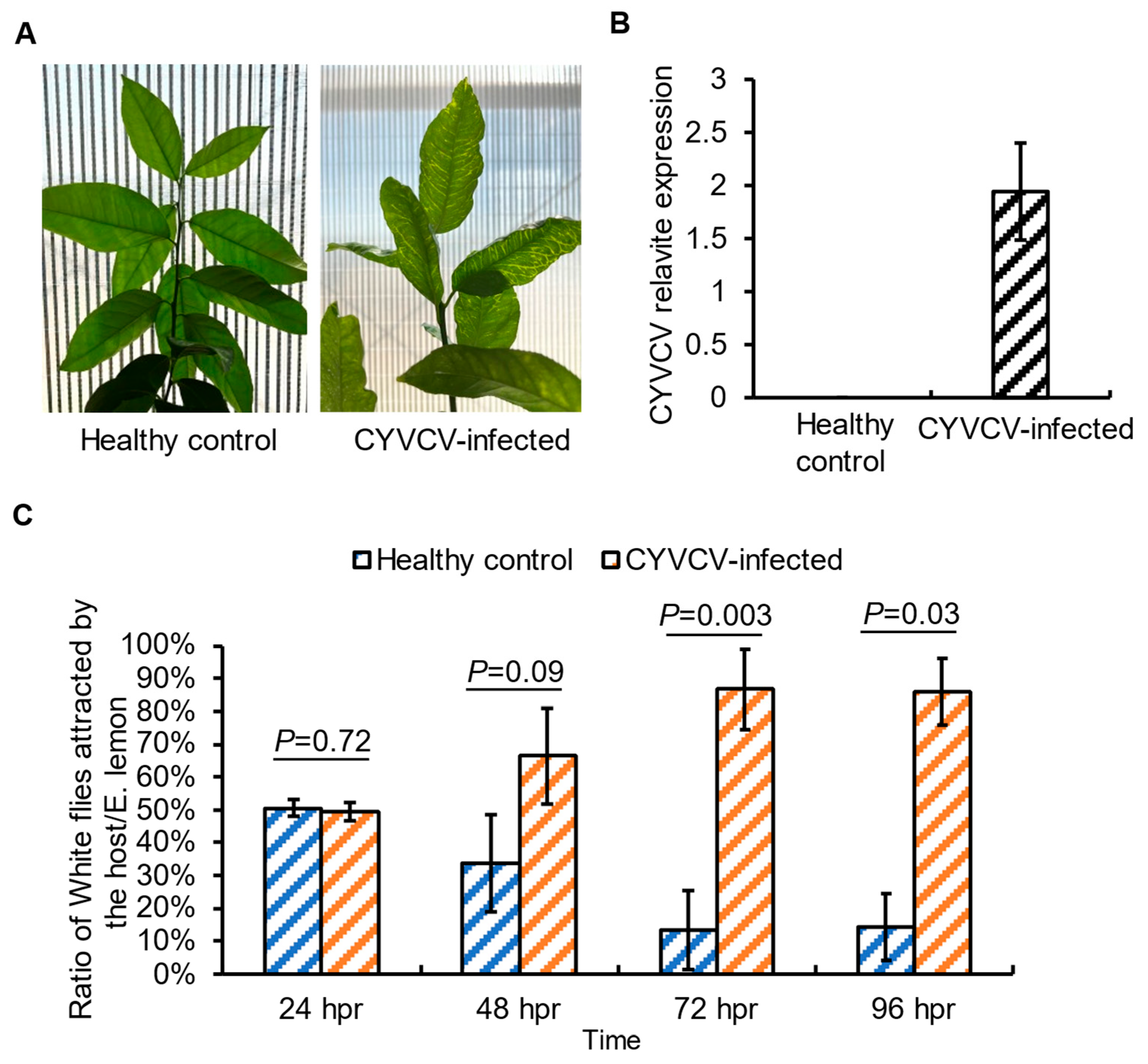 Plants 14 00288 g001