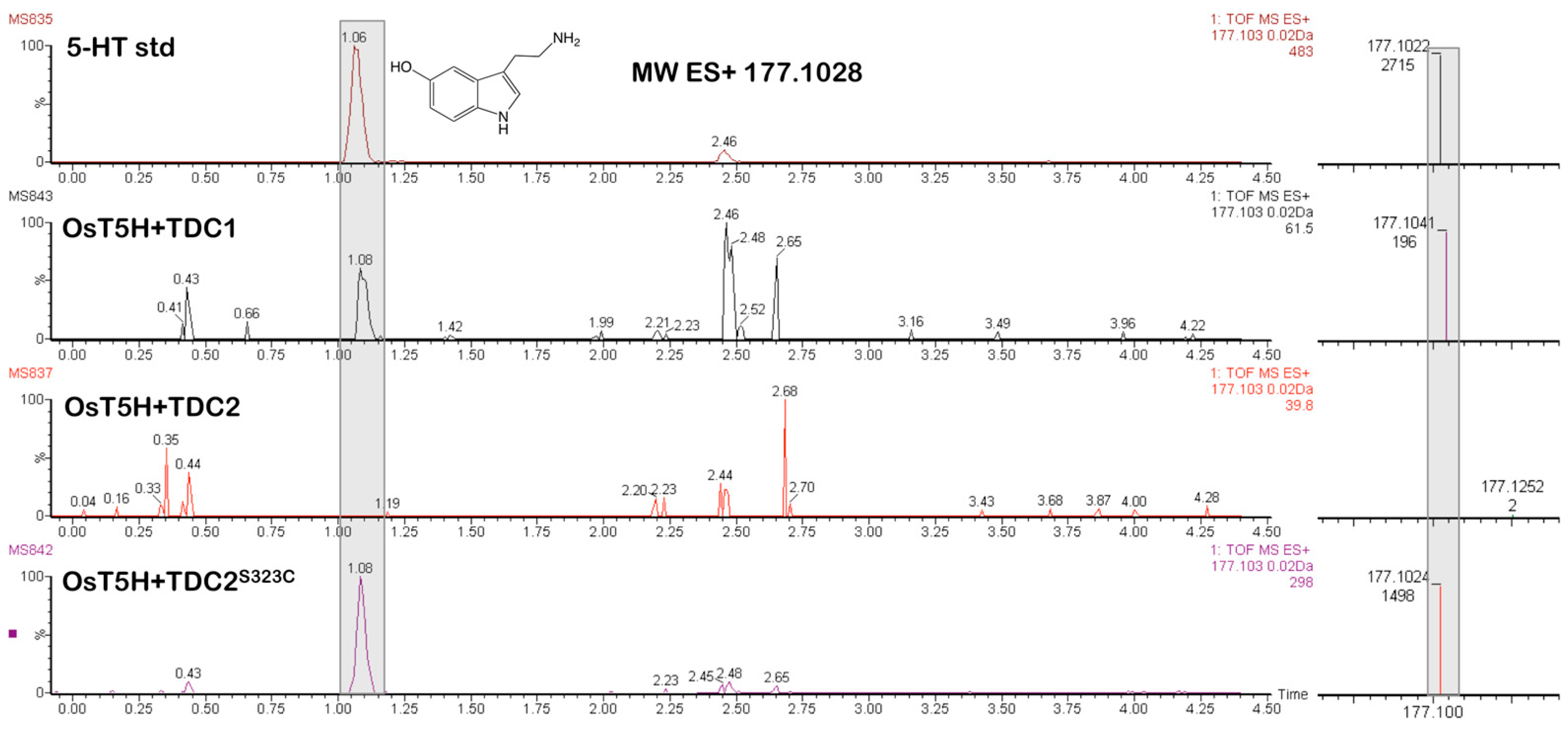 Plants 14 00292 g004