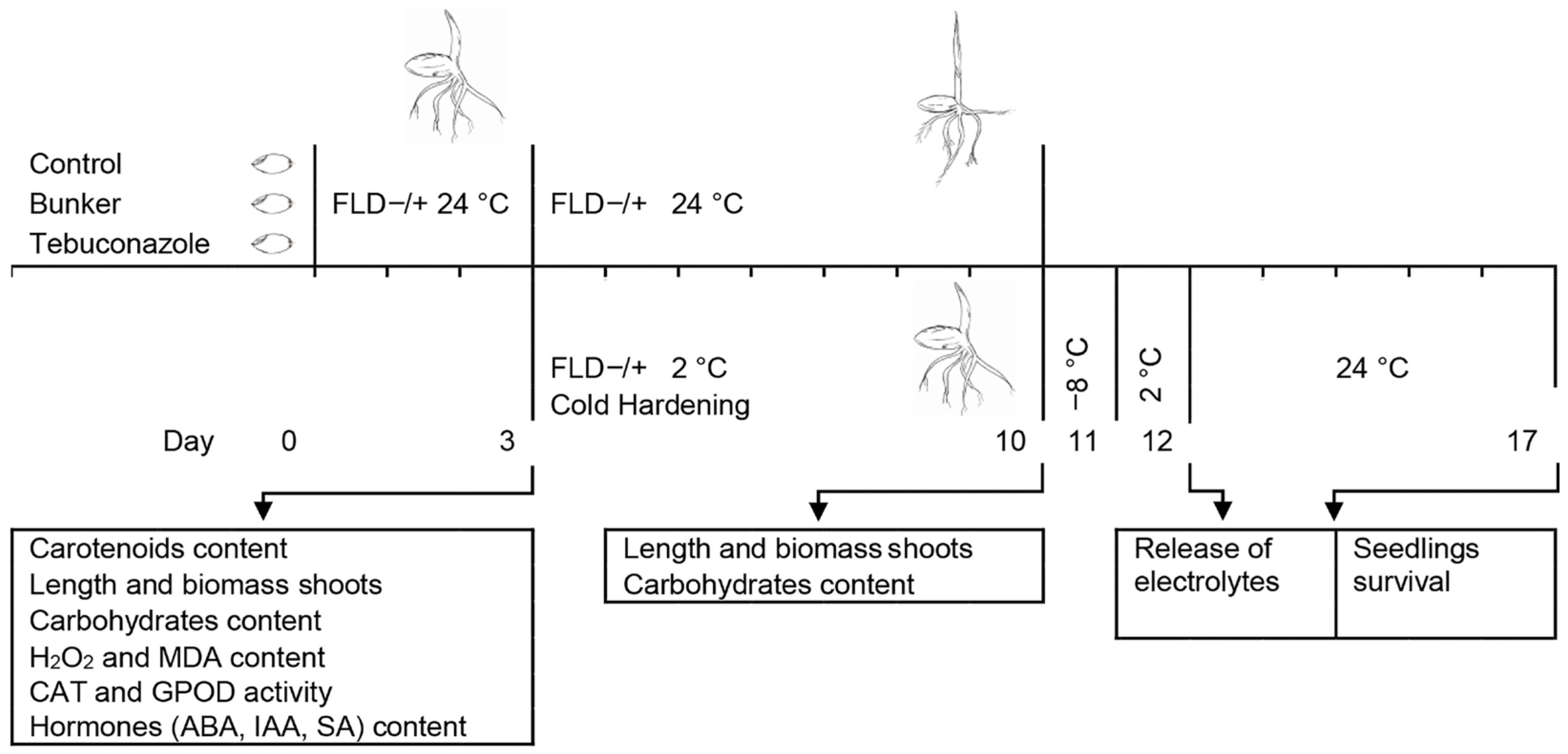 Plants 14 00314 g007