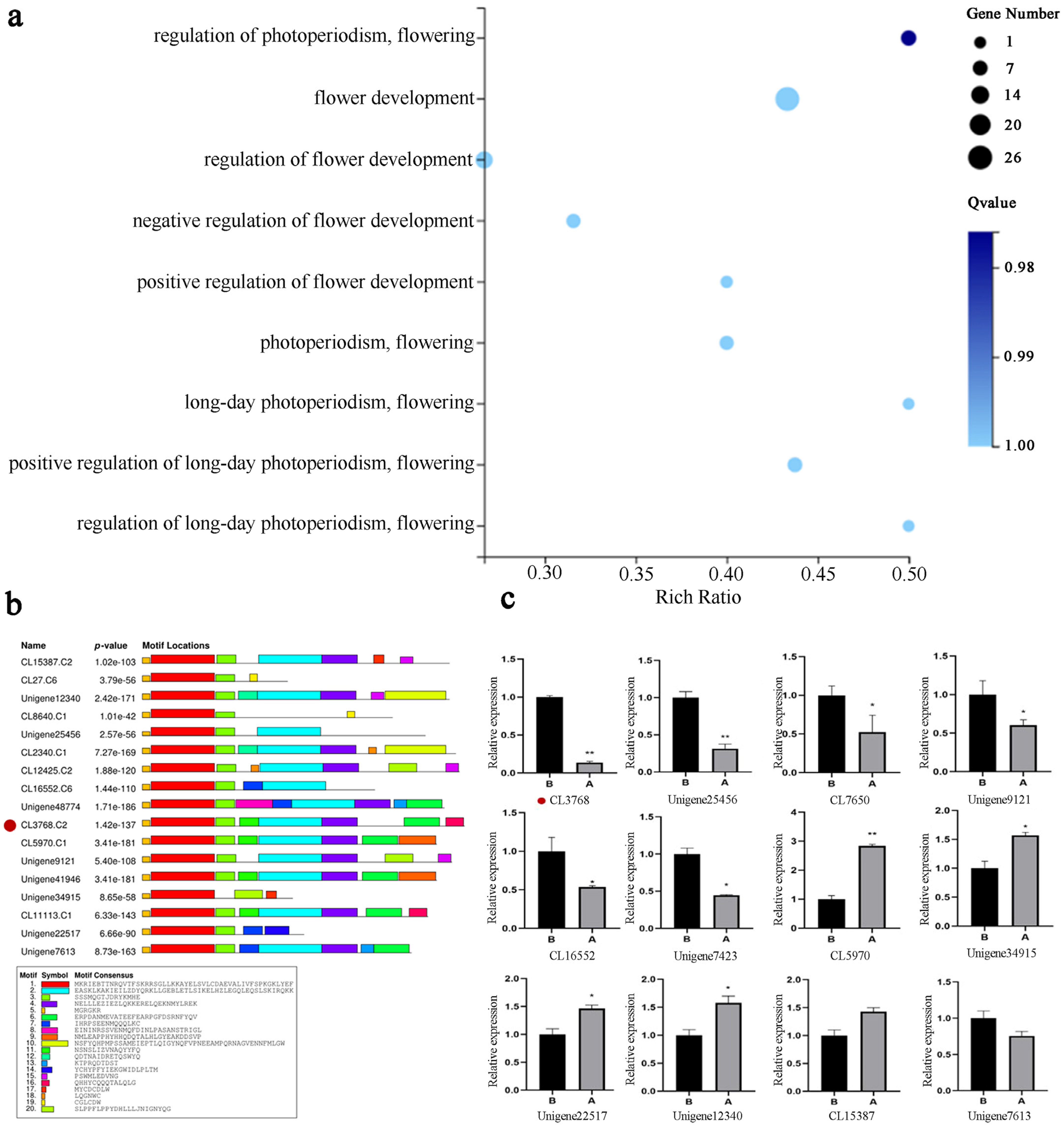 Plants 14 00323 g002
