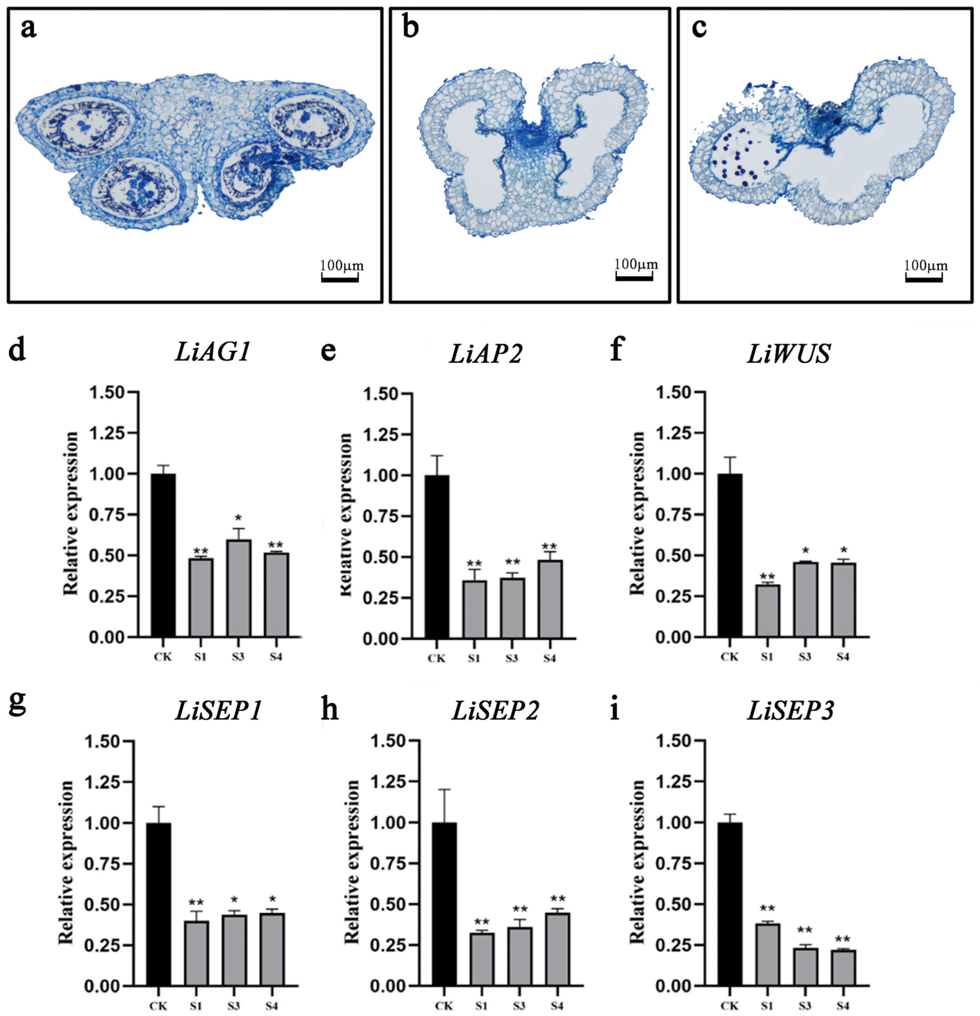 Plants 14 00323 g005