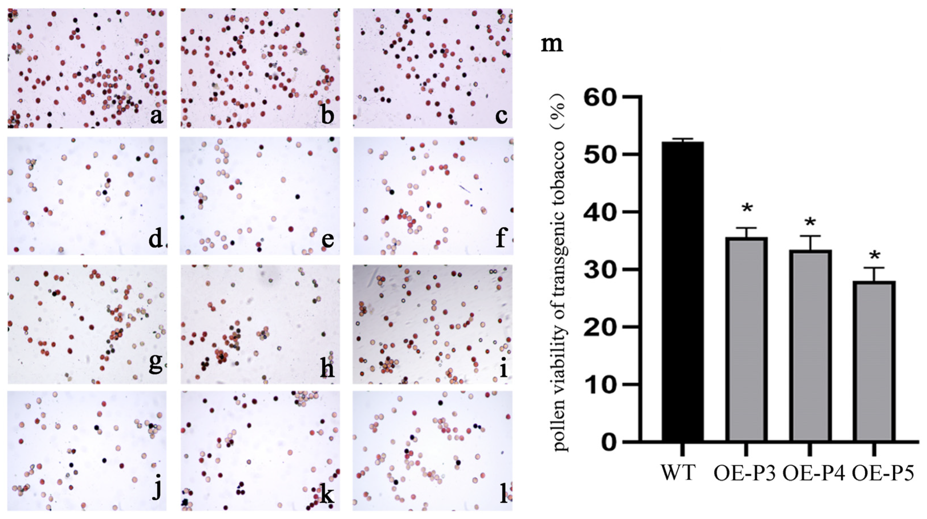 Plants 14 00323 g009