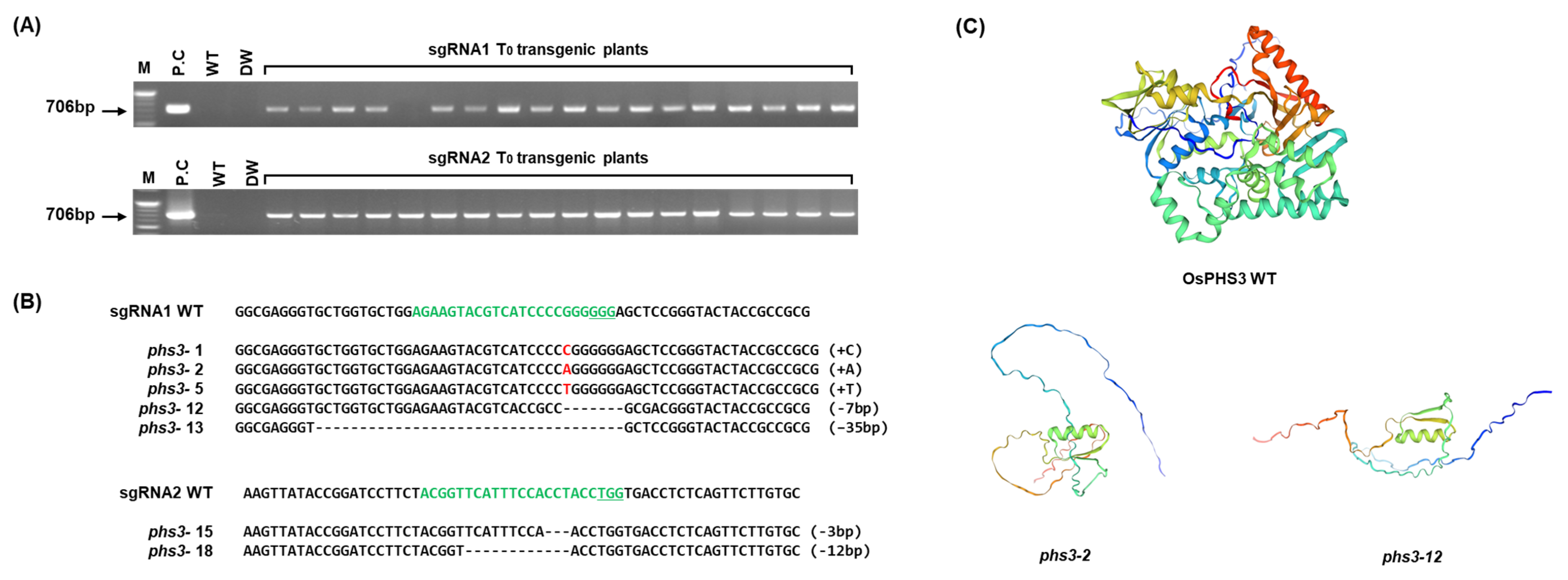 Plants 14 00345 g003