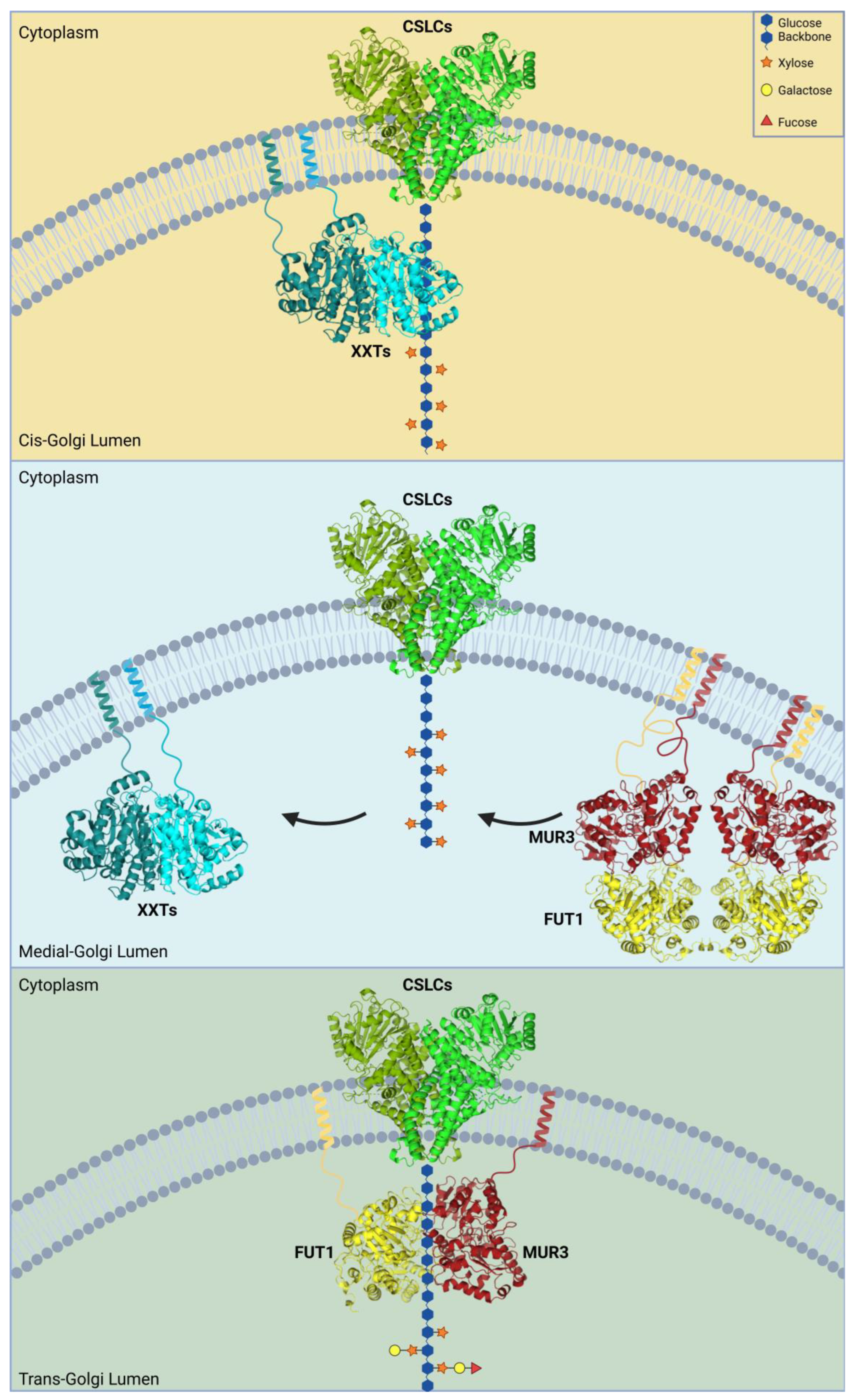 Plants 14 00350 g001