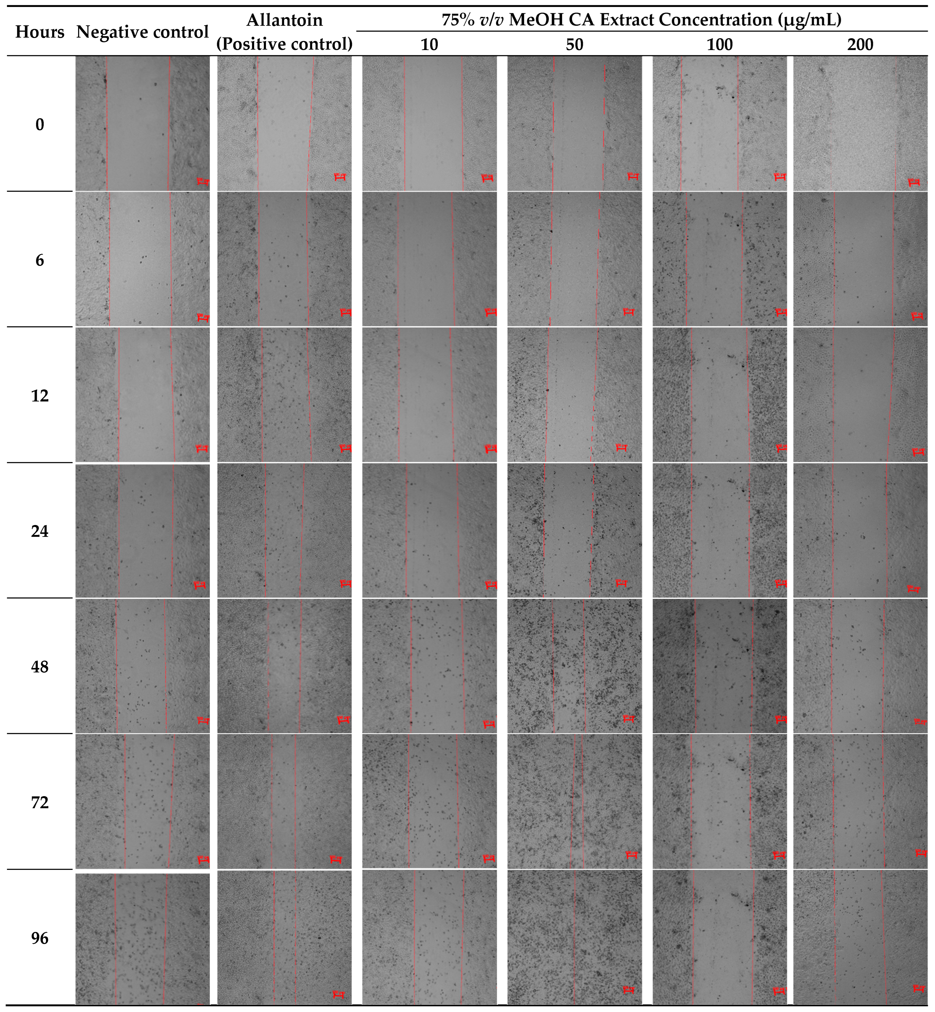 Plants 14 00362 g007