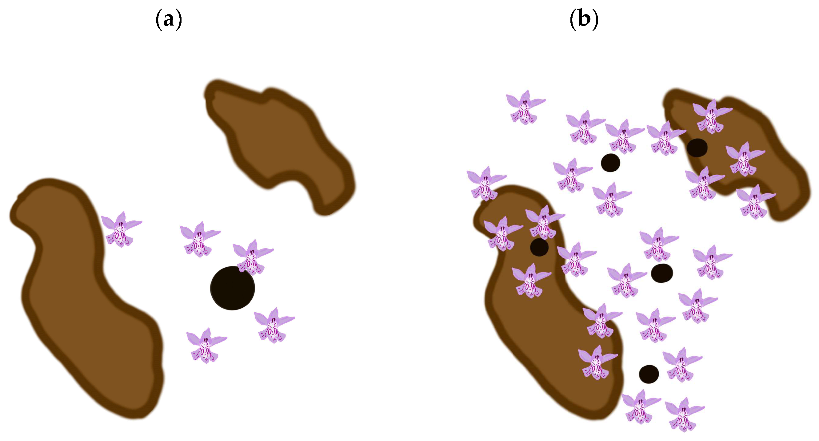 Plants 14 00369 g003