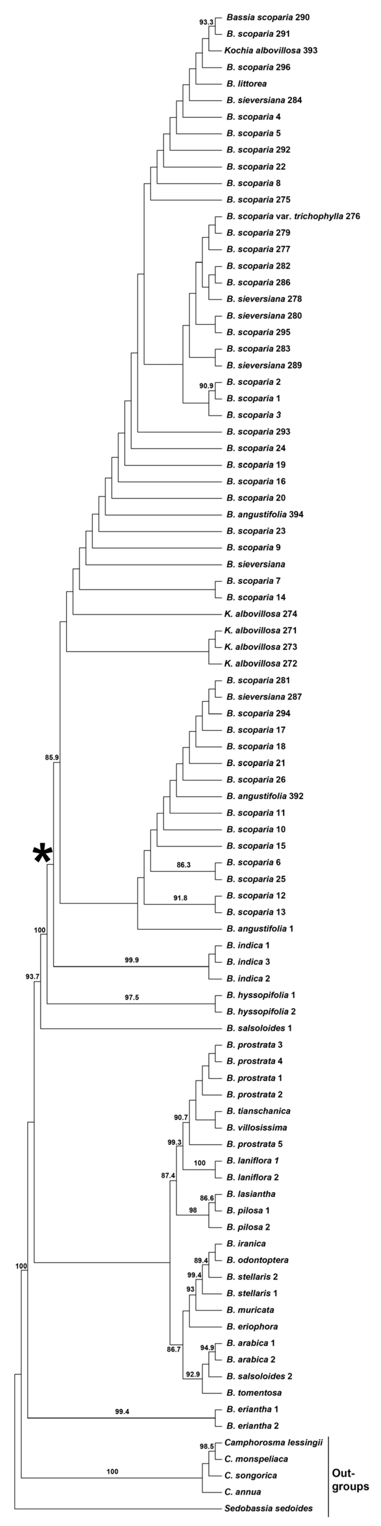 Plants 14 00398 g001 Plants 14 00398 g001