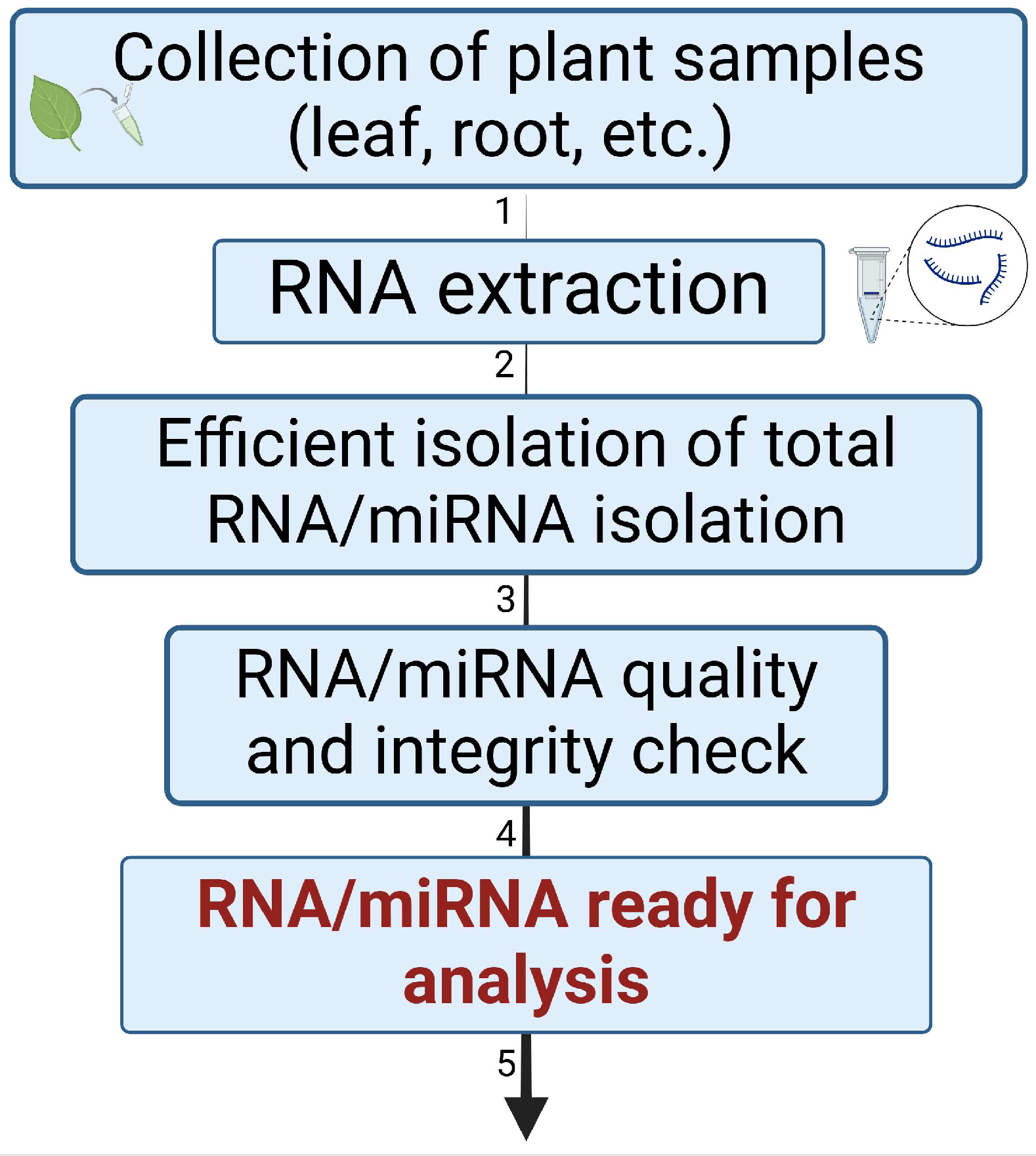 Plants 14 00410 g004