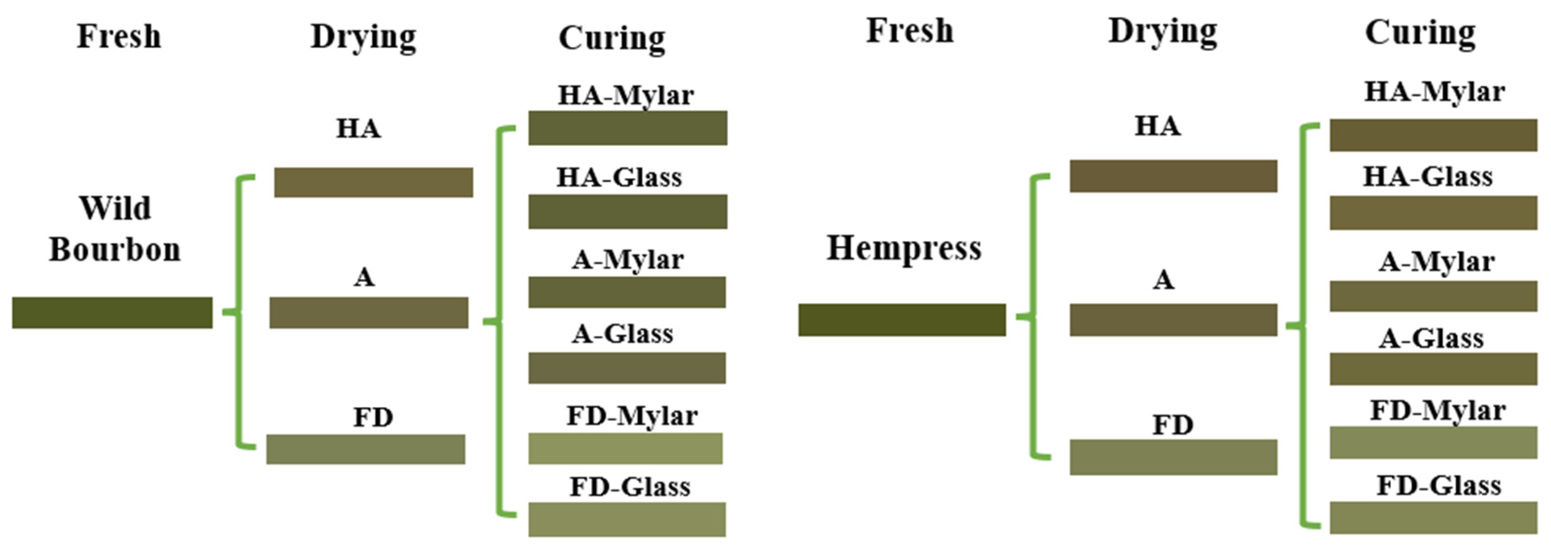 Plants 14 00414 g004