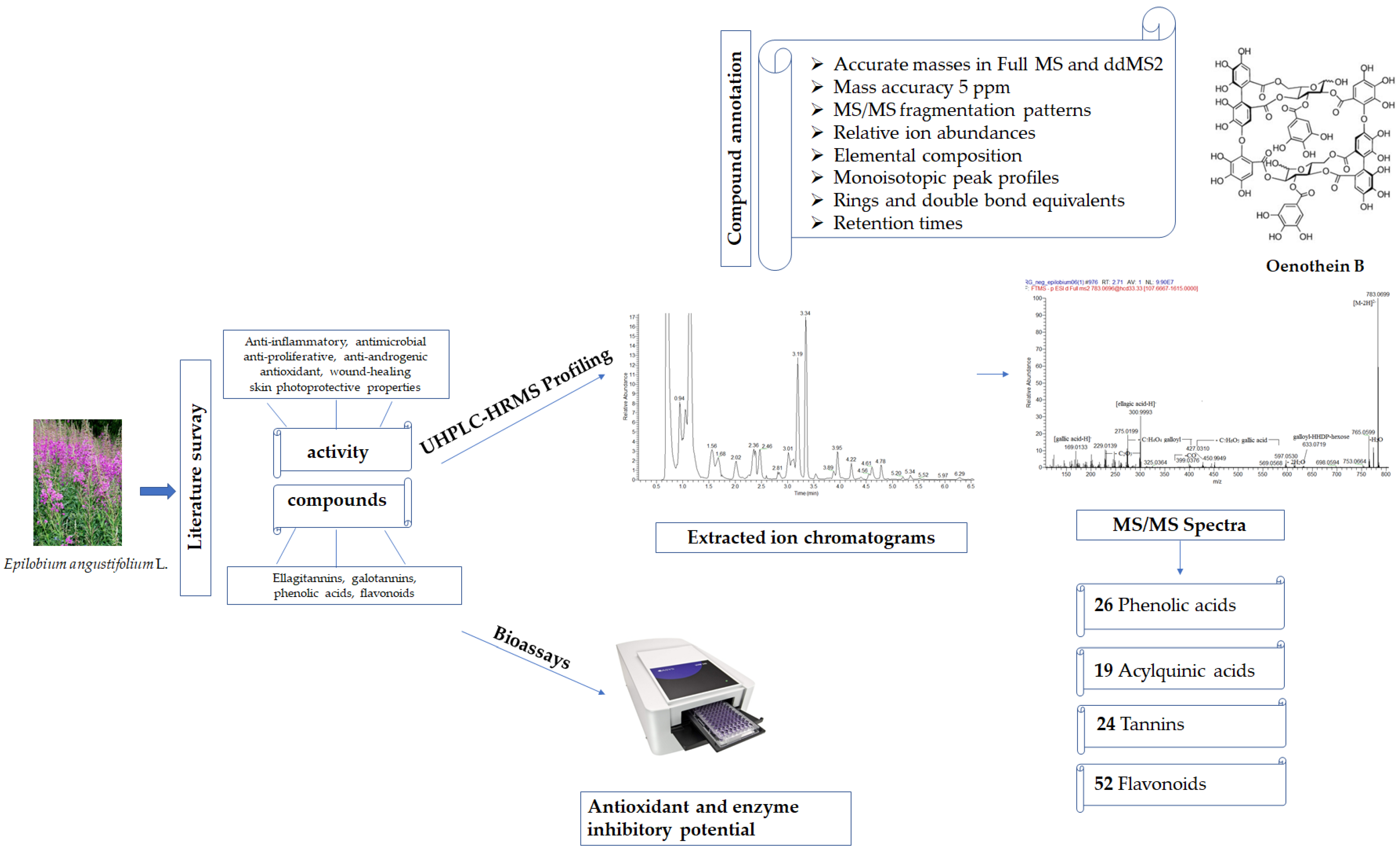 Plants 14 00415 g001