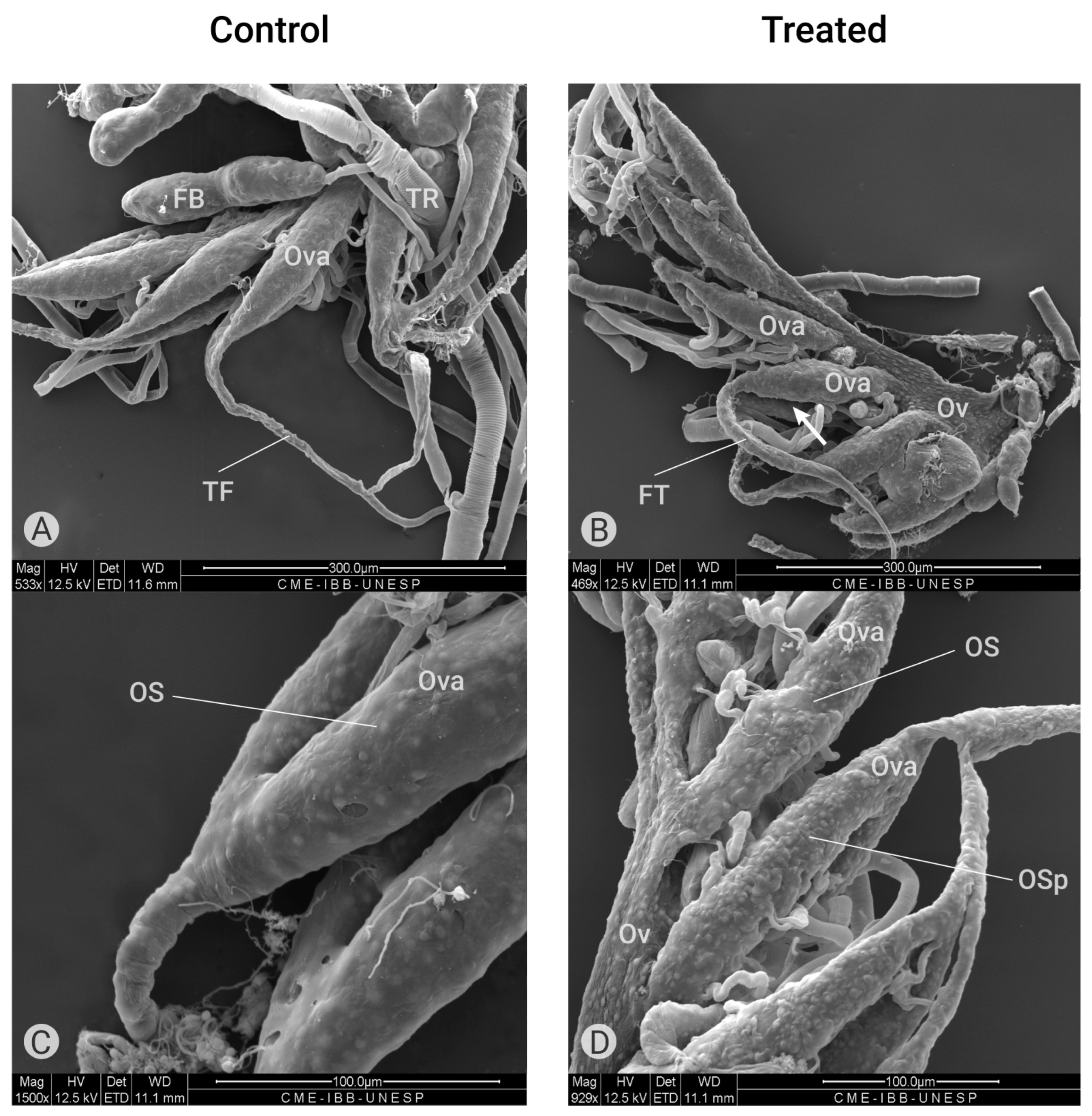 Plants 14 00416 g005