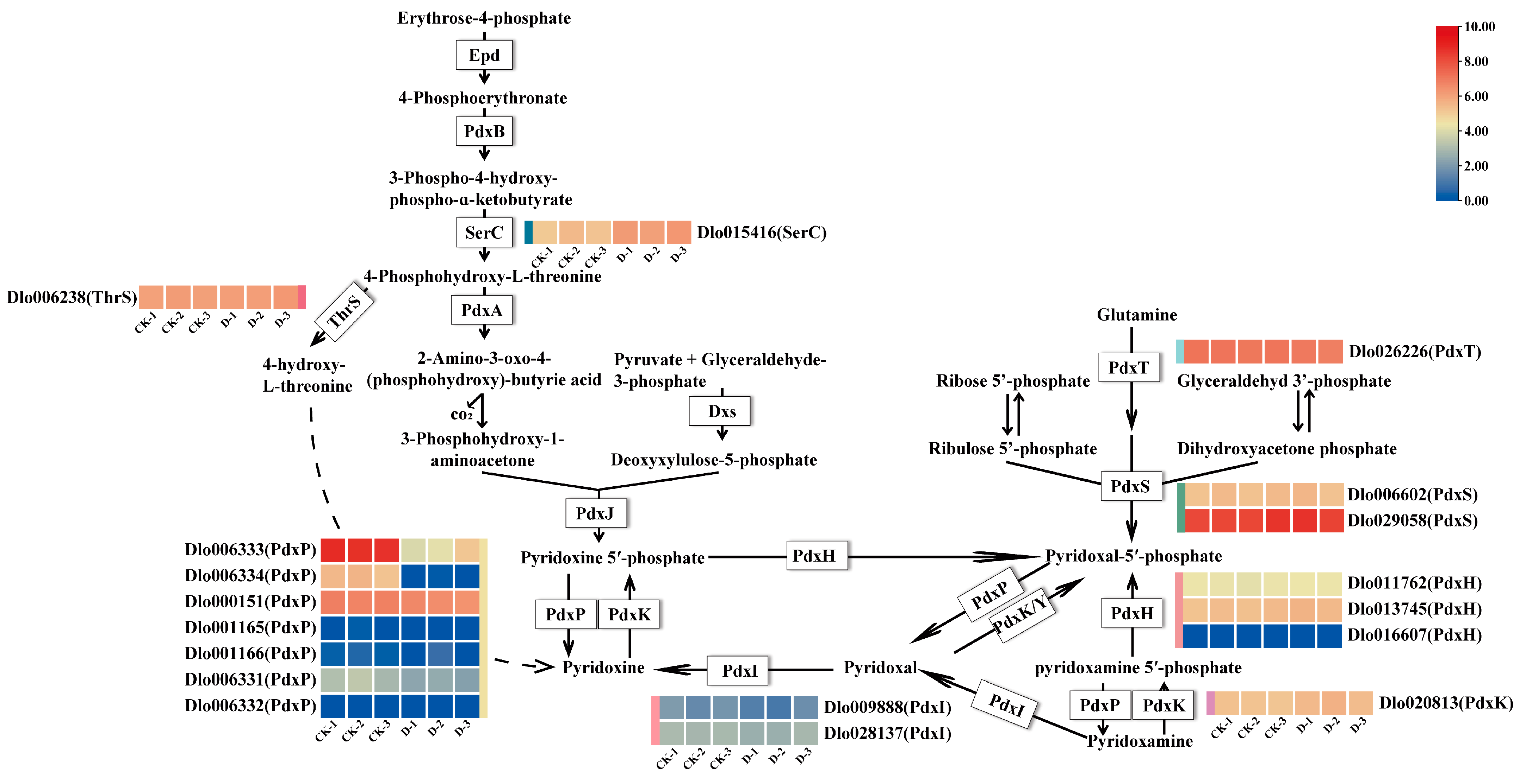 Plants 14 00442 g004