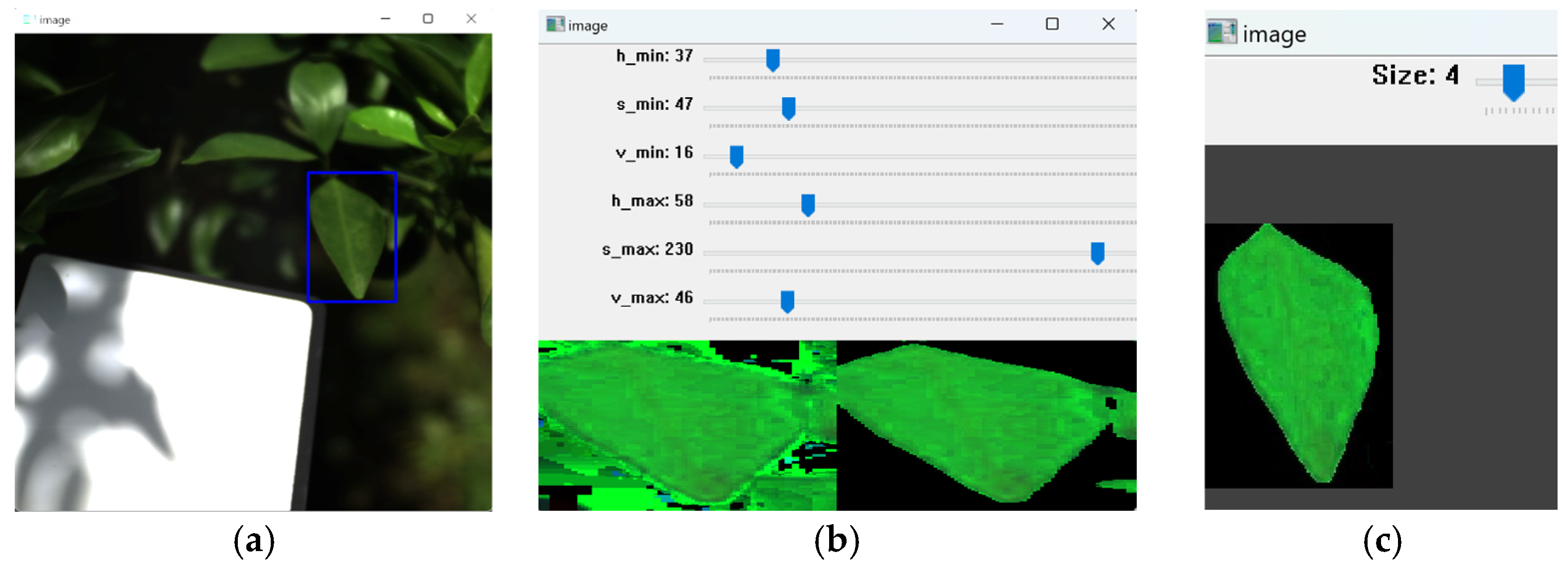 Plants 14 00451 g009