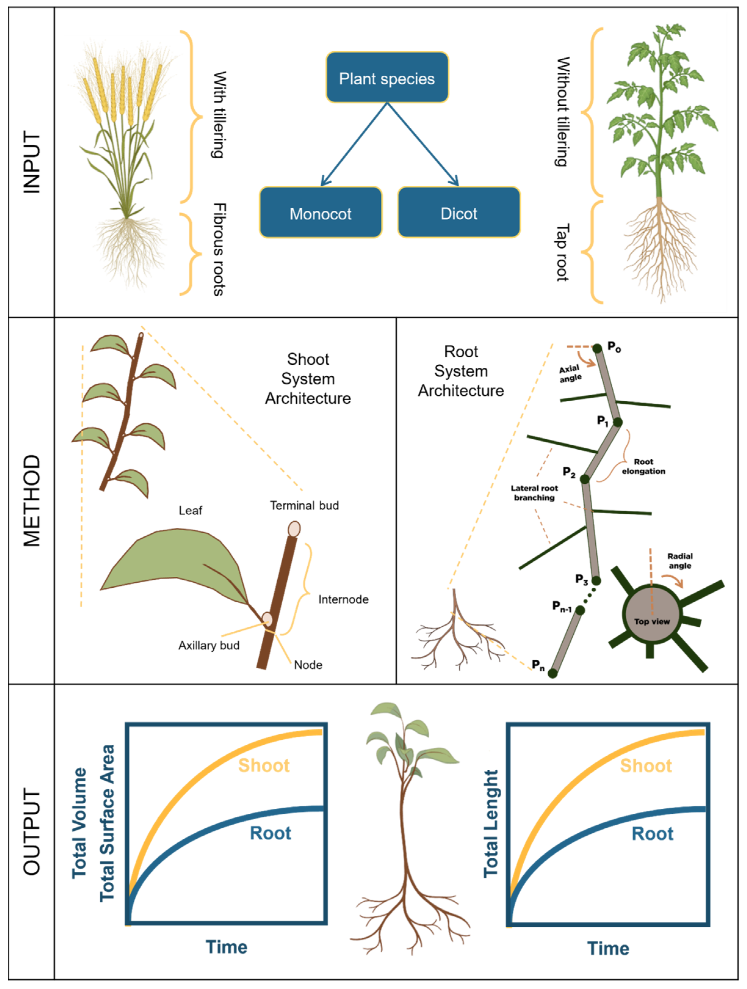 Plants 14 00470 g003