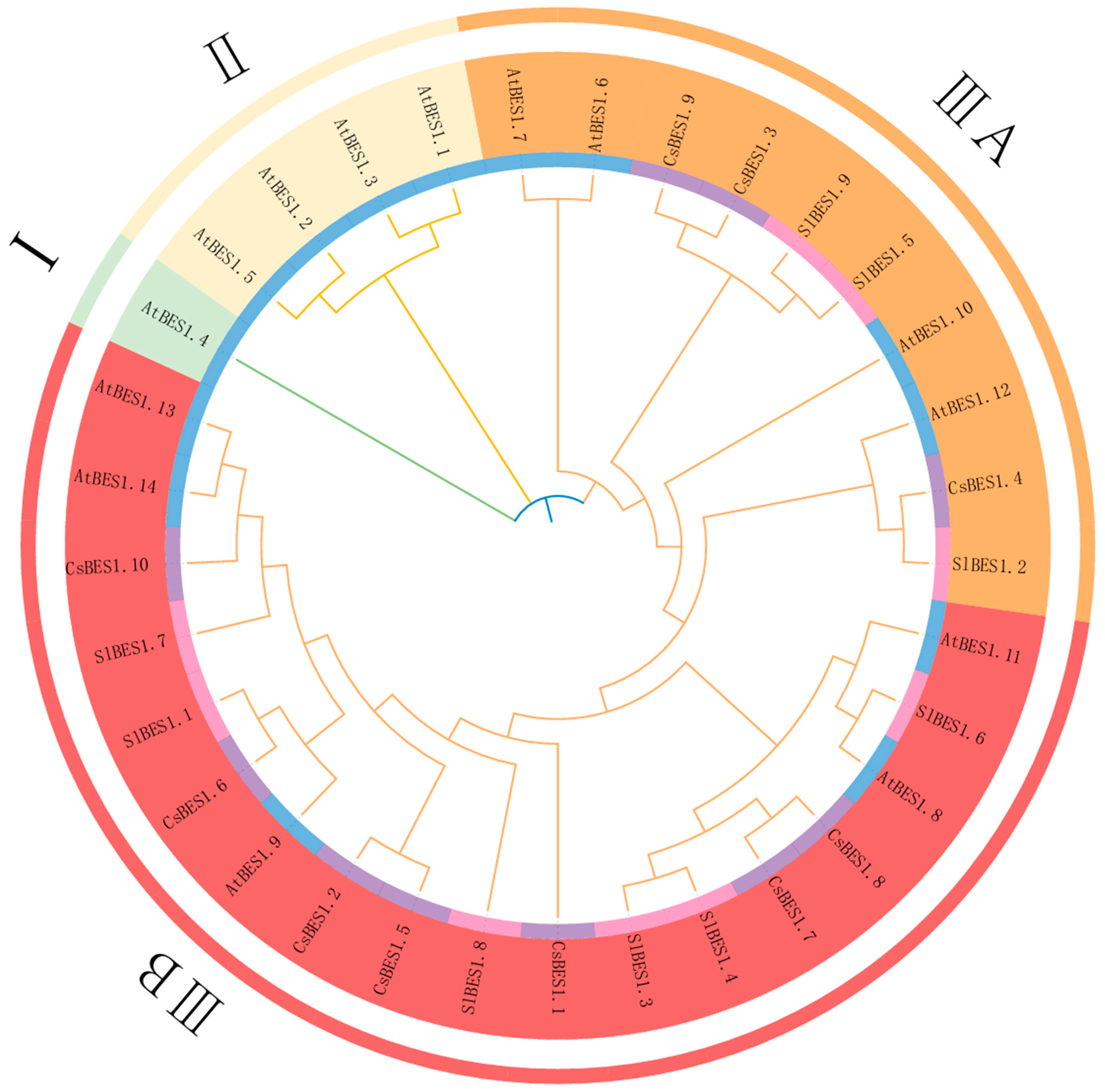Plants 14 00473 g003