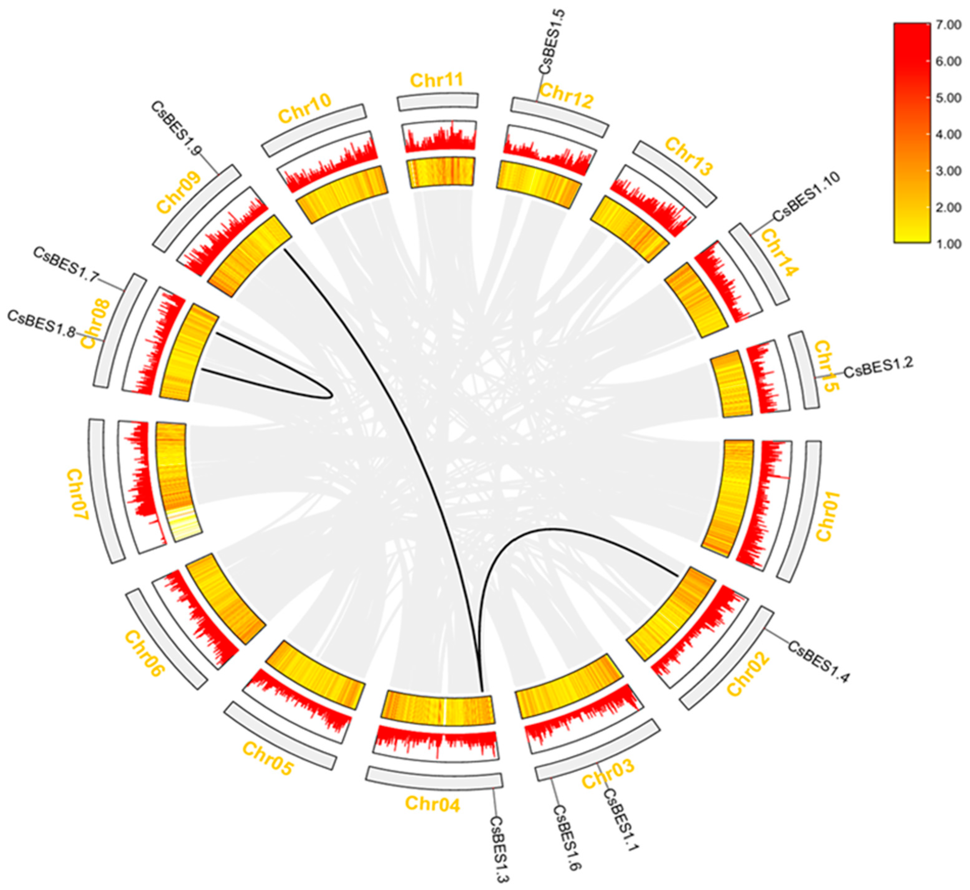 Plants 14 00473 g004