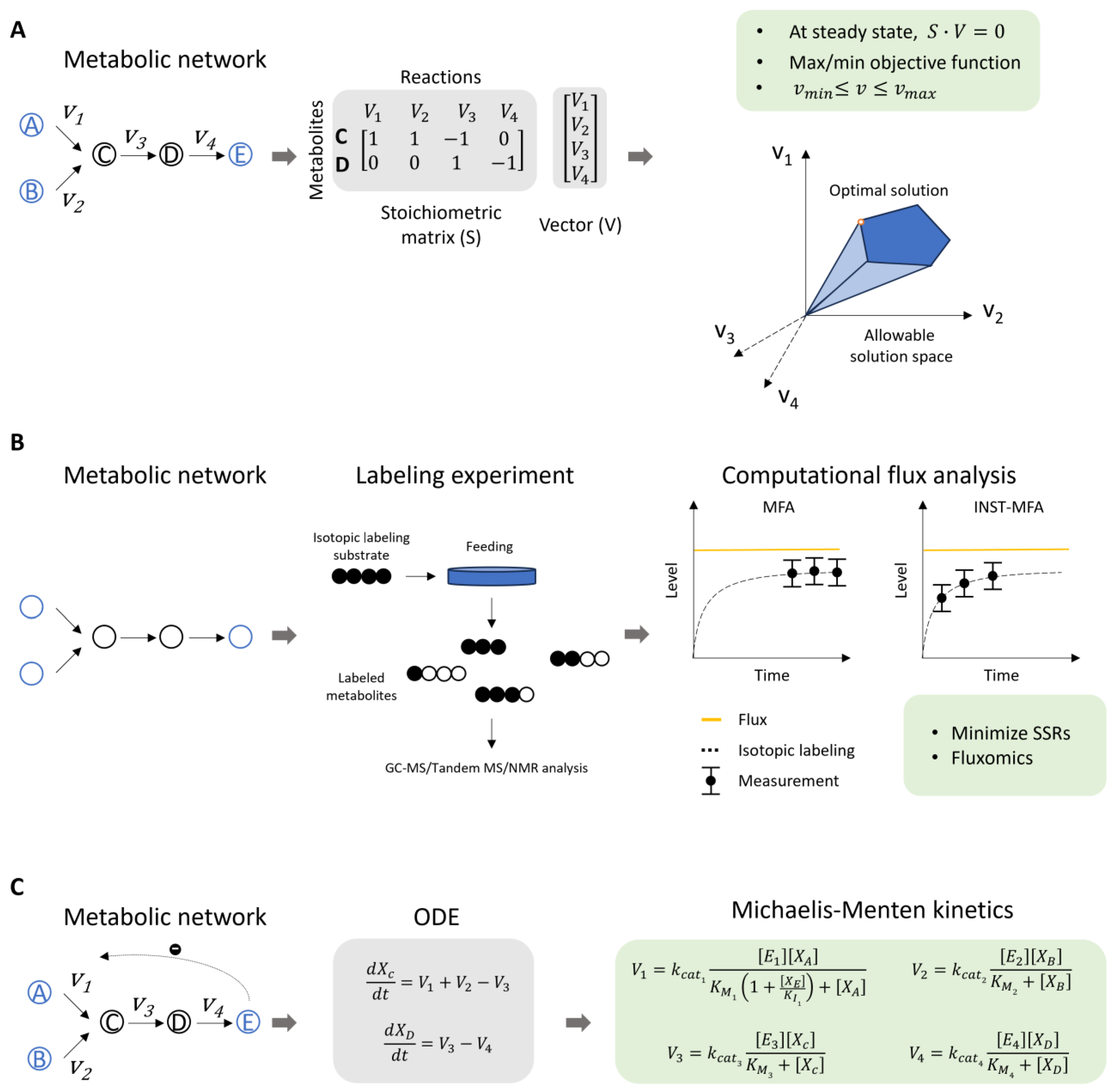 Plants 14 00484 g001