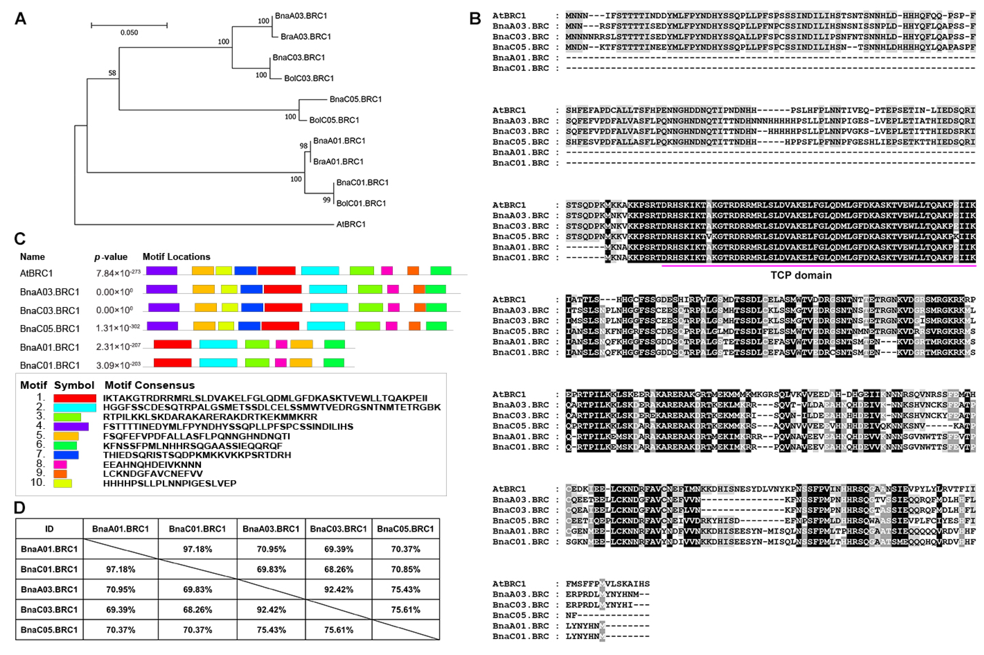 Plants 14 00486 g001