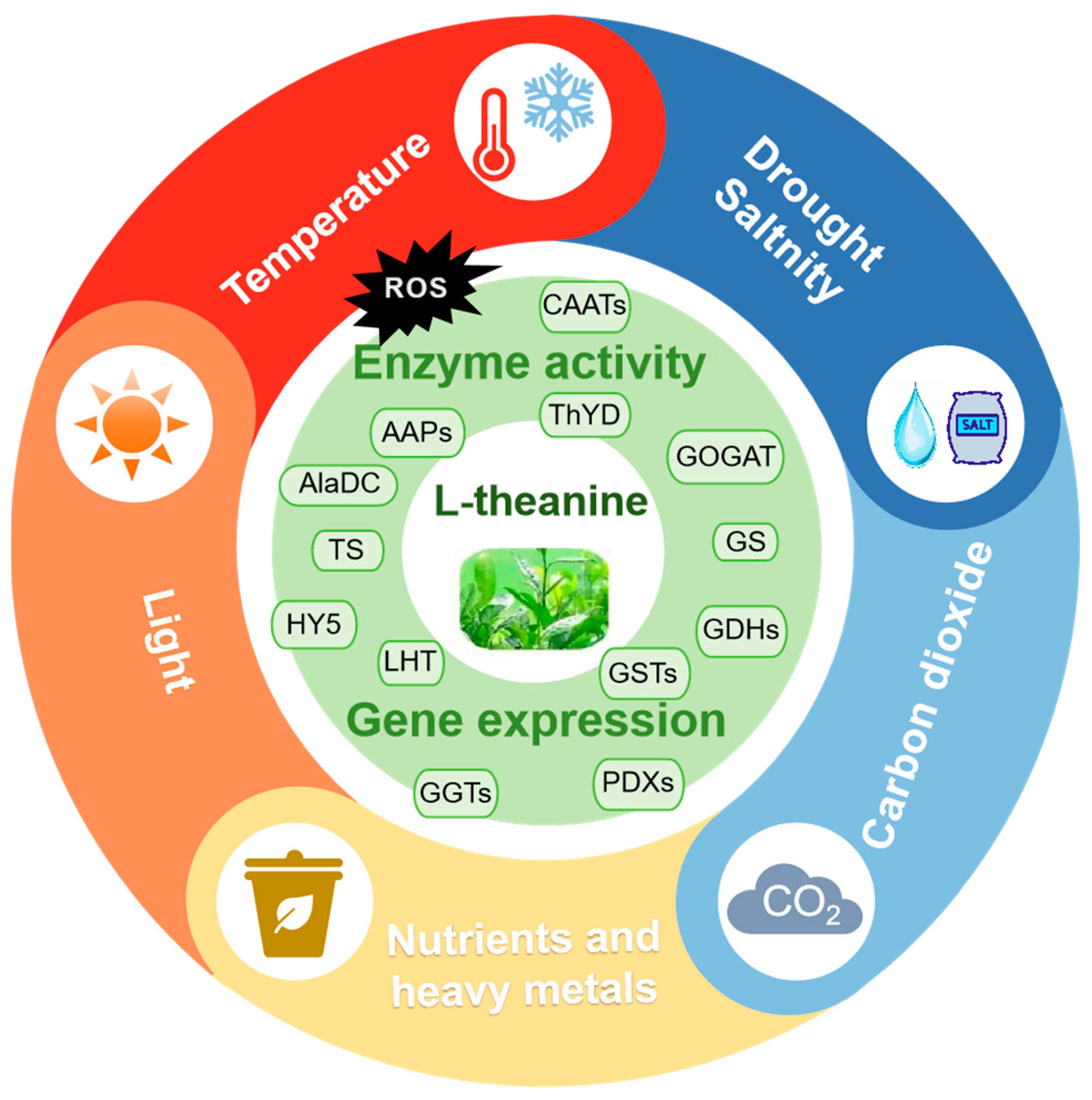 Plants 14 00492 g002 Plants 14 00492 g002