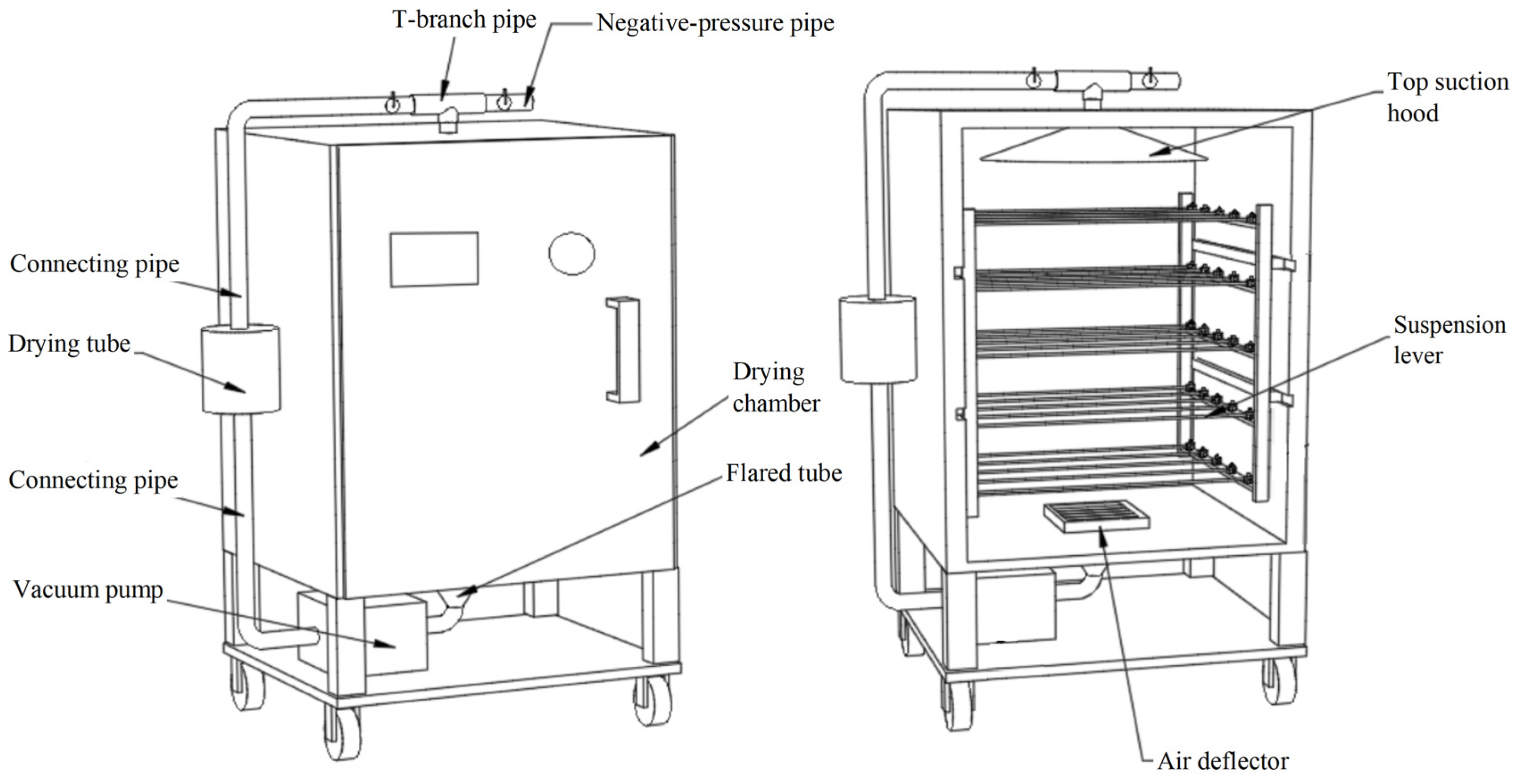 Plants 14 00494 g001