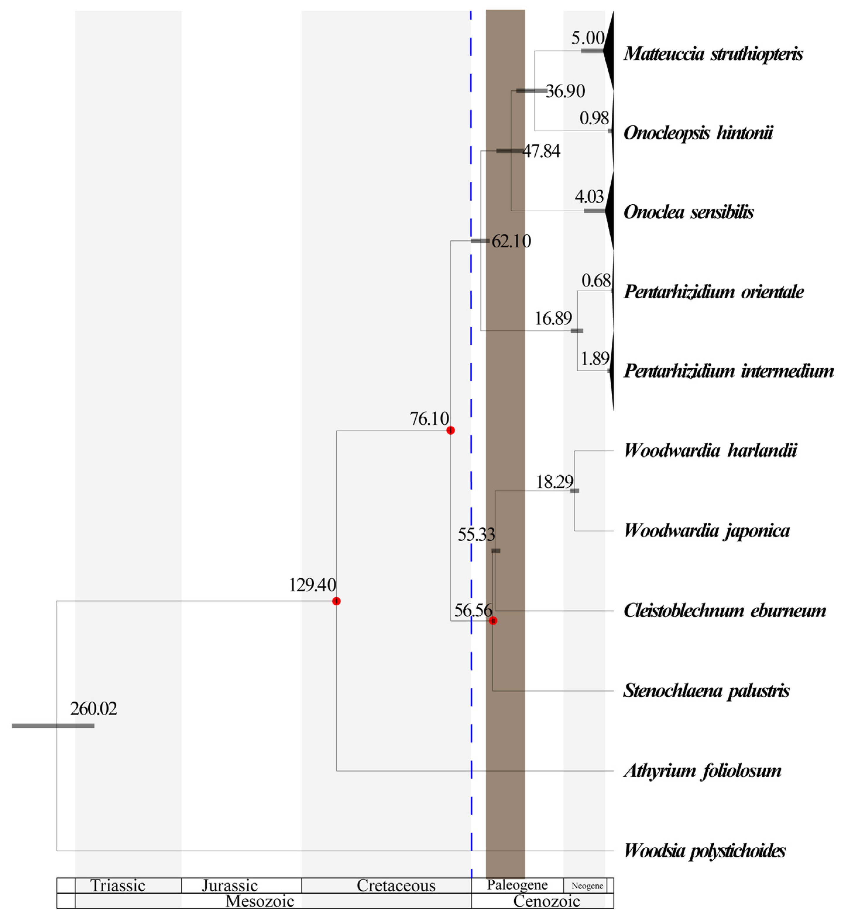 Plants 14 00510 g003