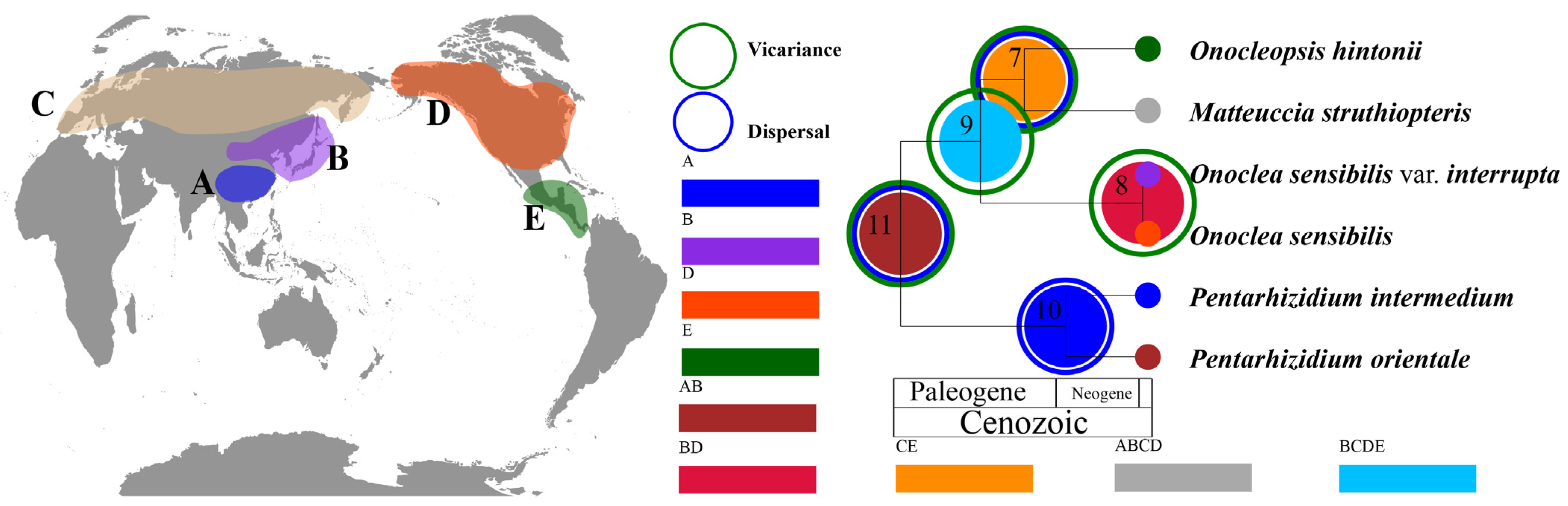 Plants 14 00510 g004