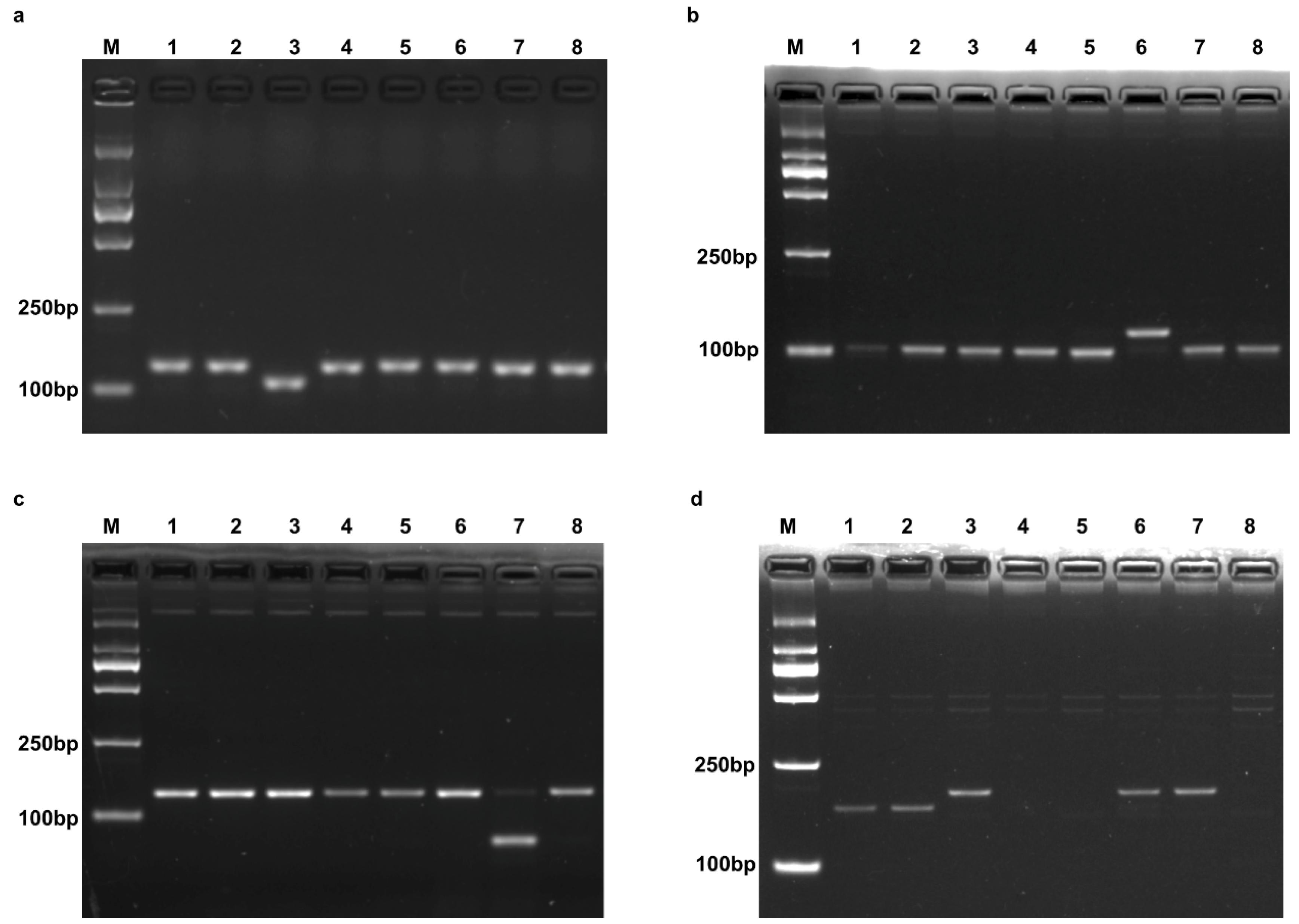 Plants 14 00592 g002