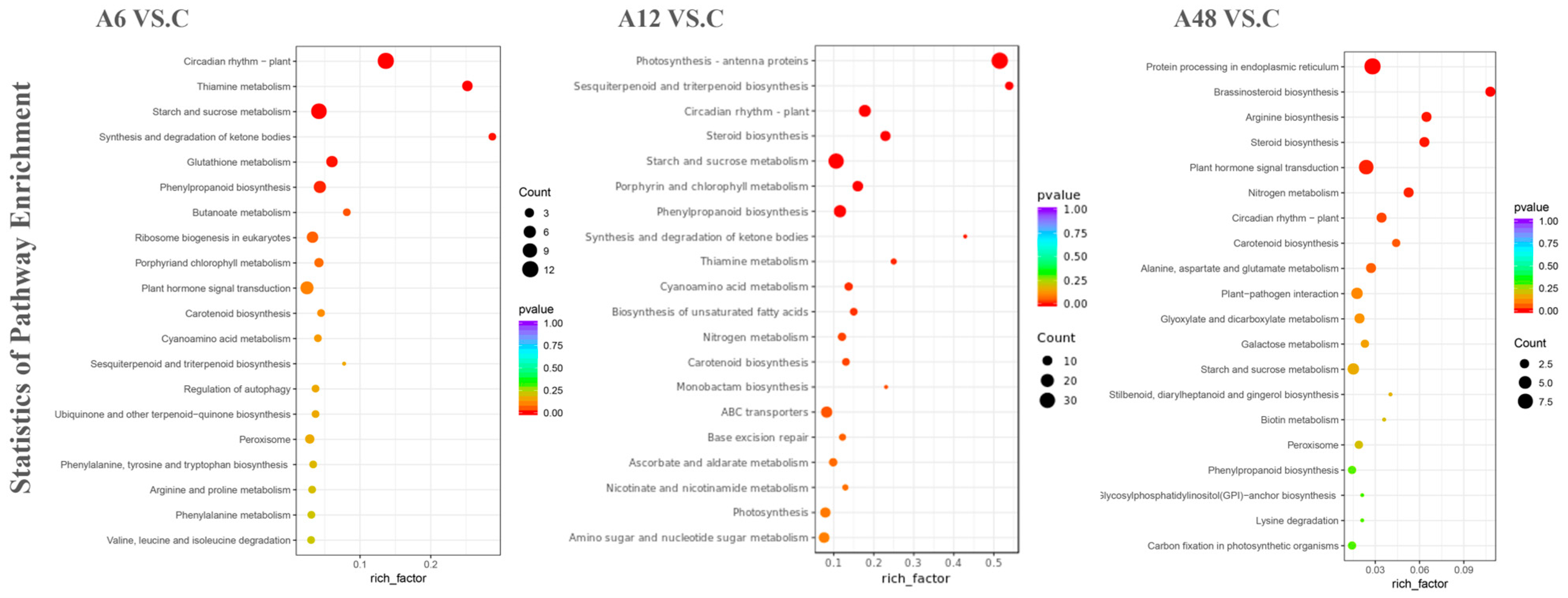 Plants 14 00593 g004