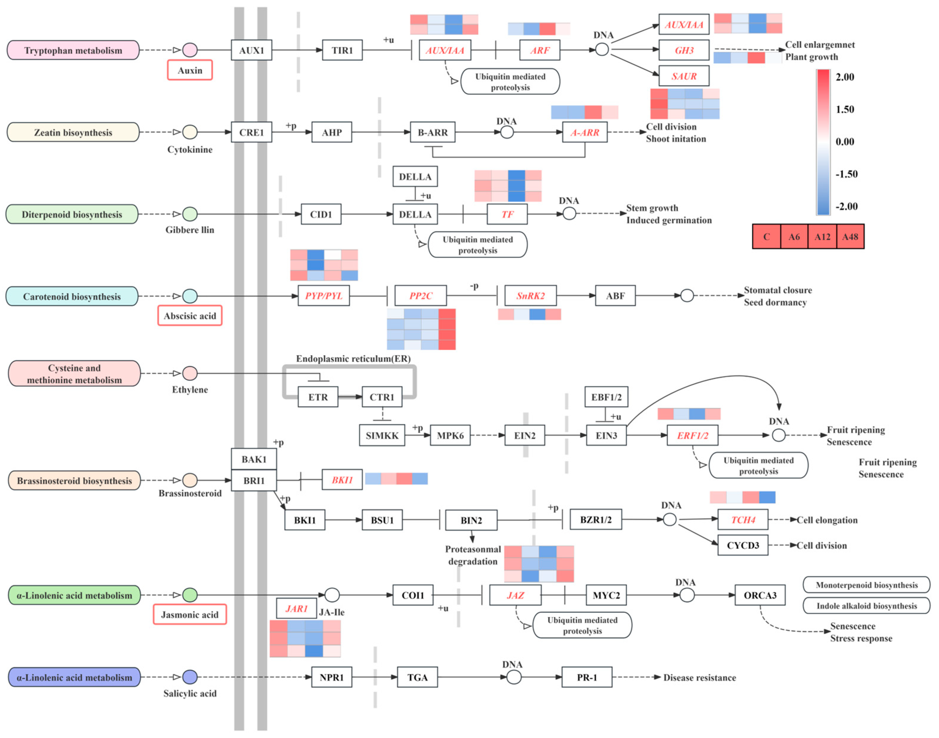 Plants 14 00593 g006