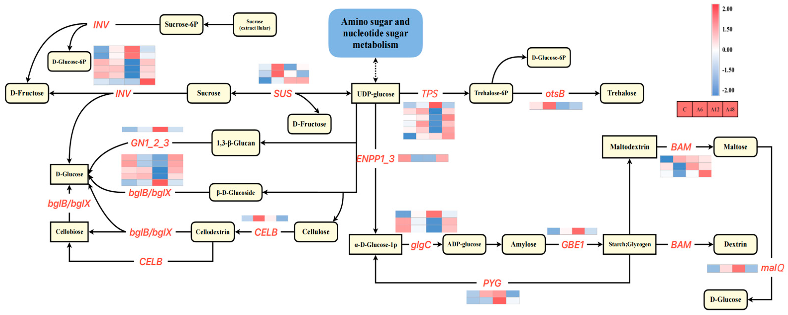 Plants 14 00593 g007
