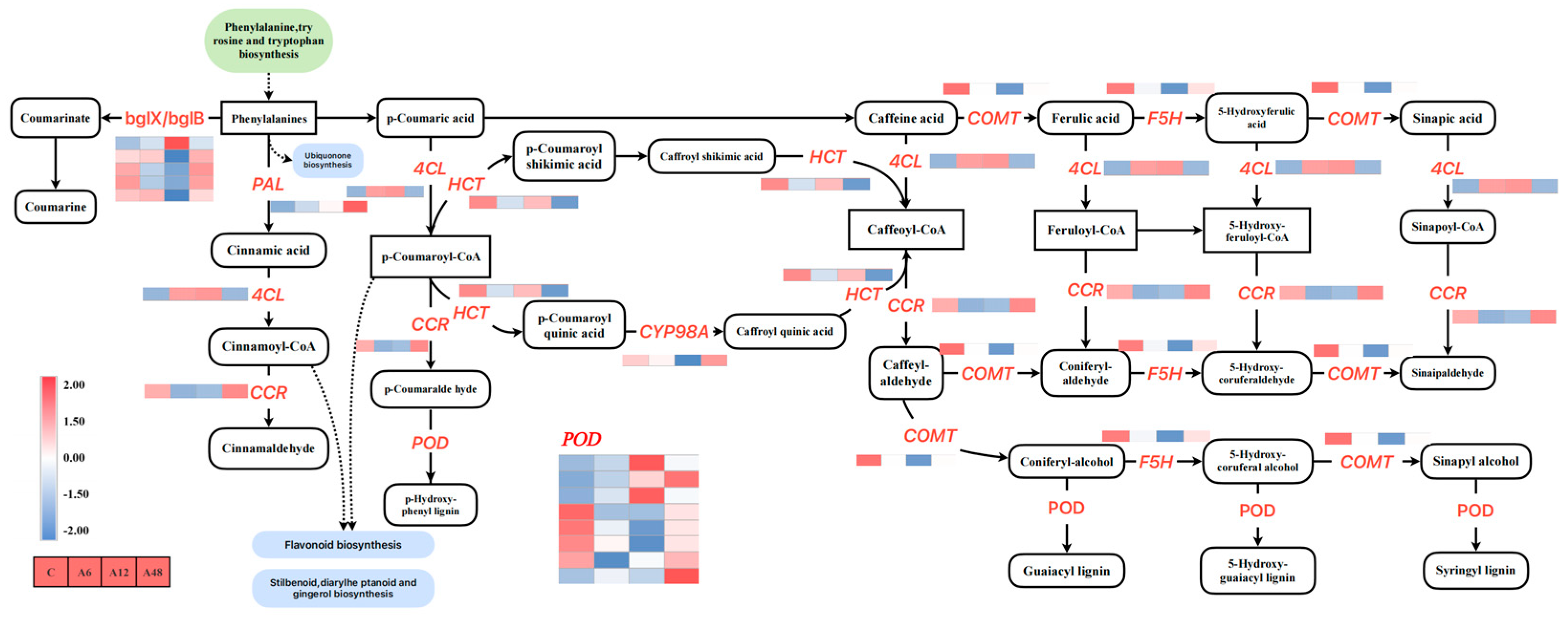 Plants 14 00593 g008