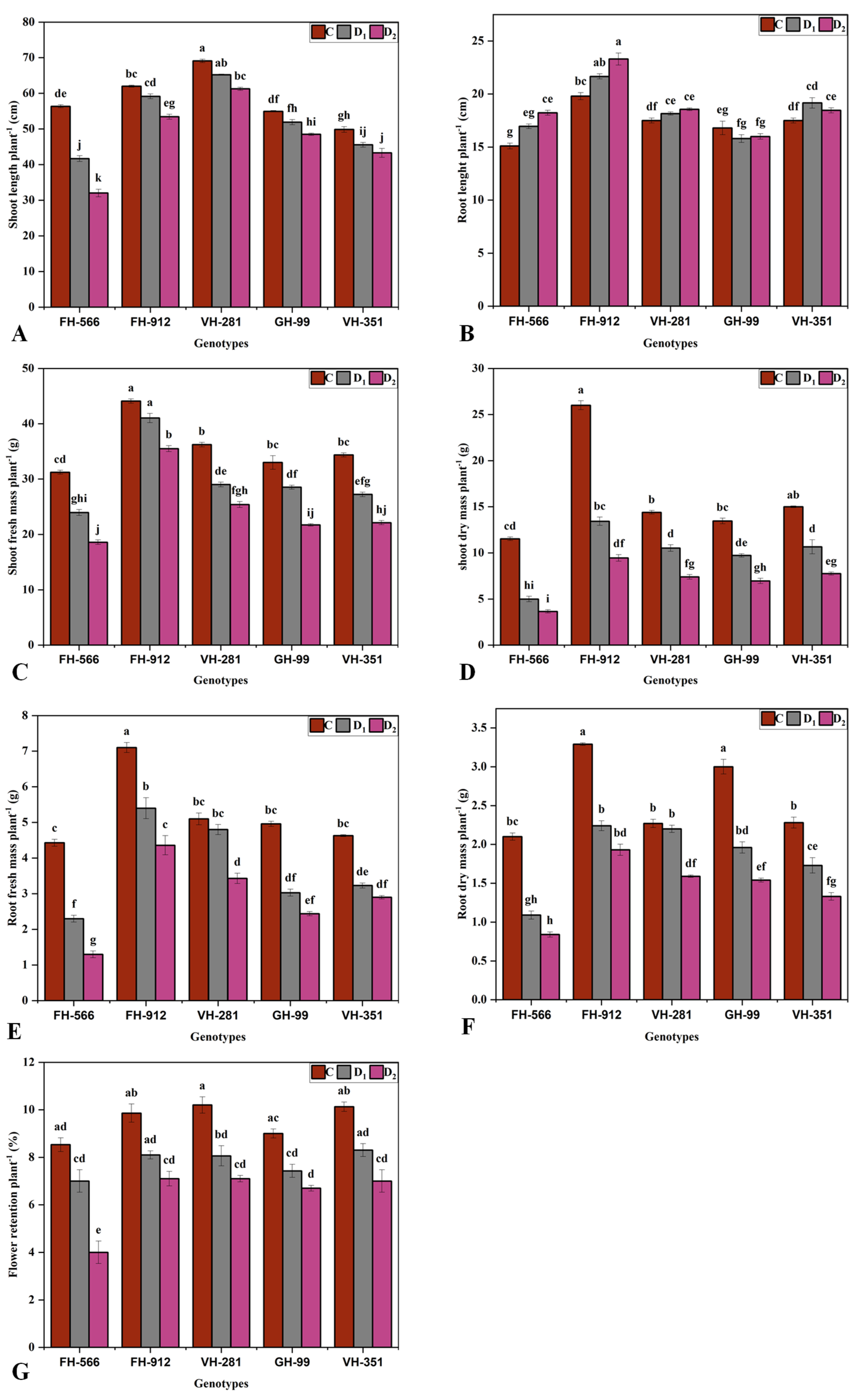 Plants 14 00616 g001