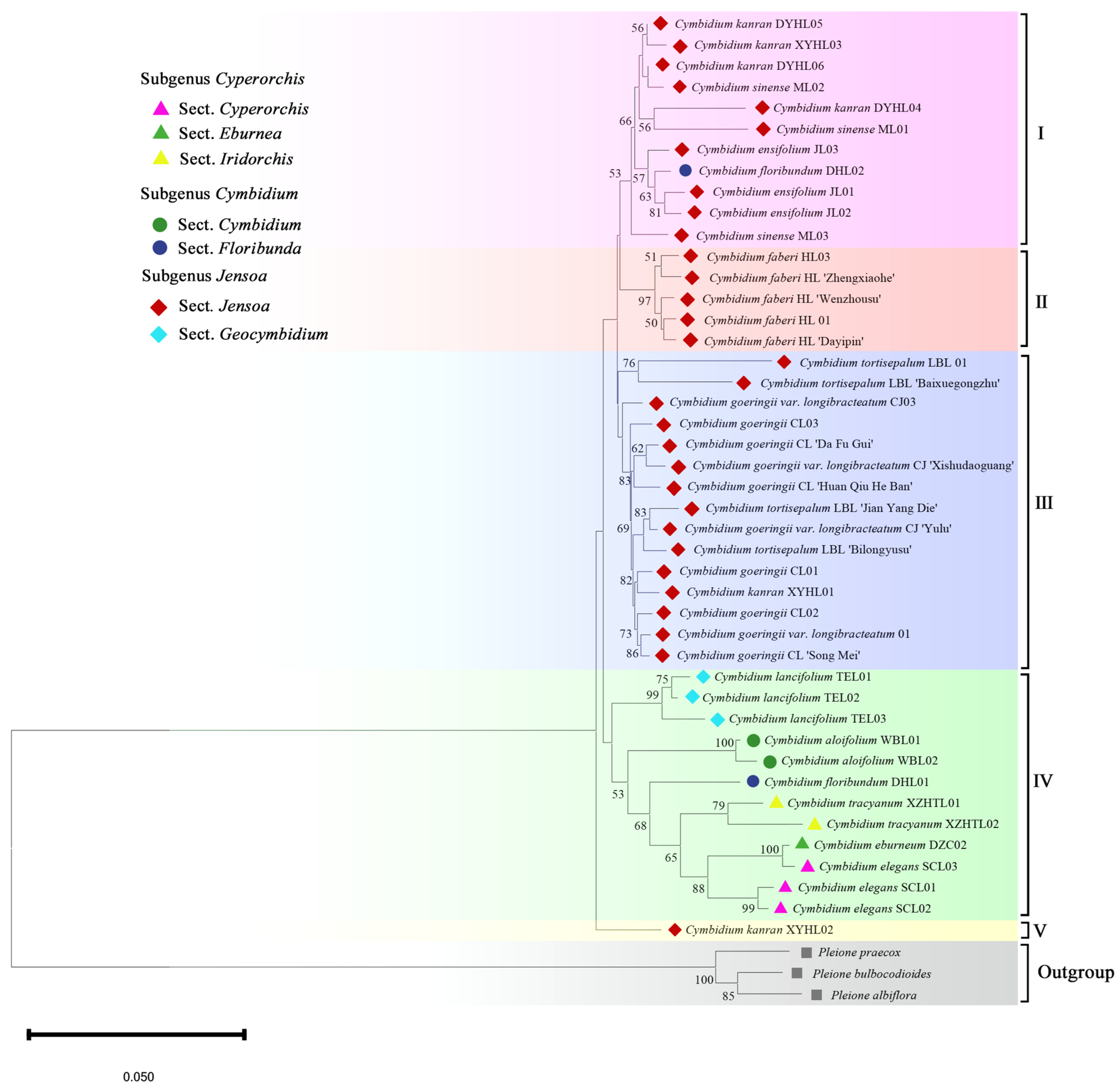 Plants 14 00619 g004