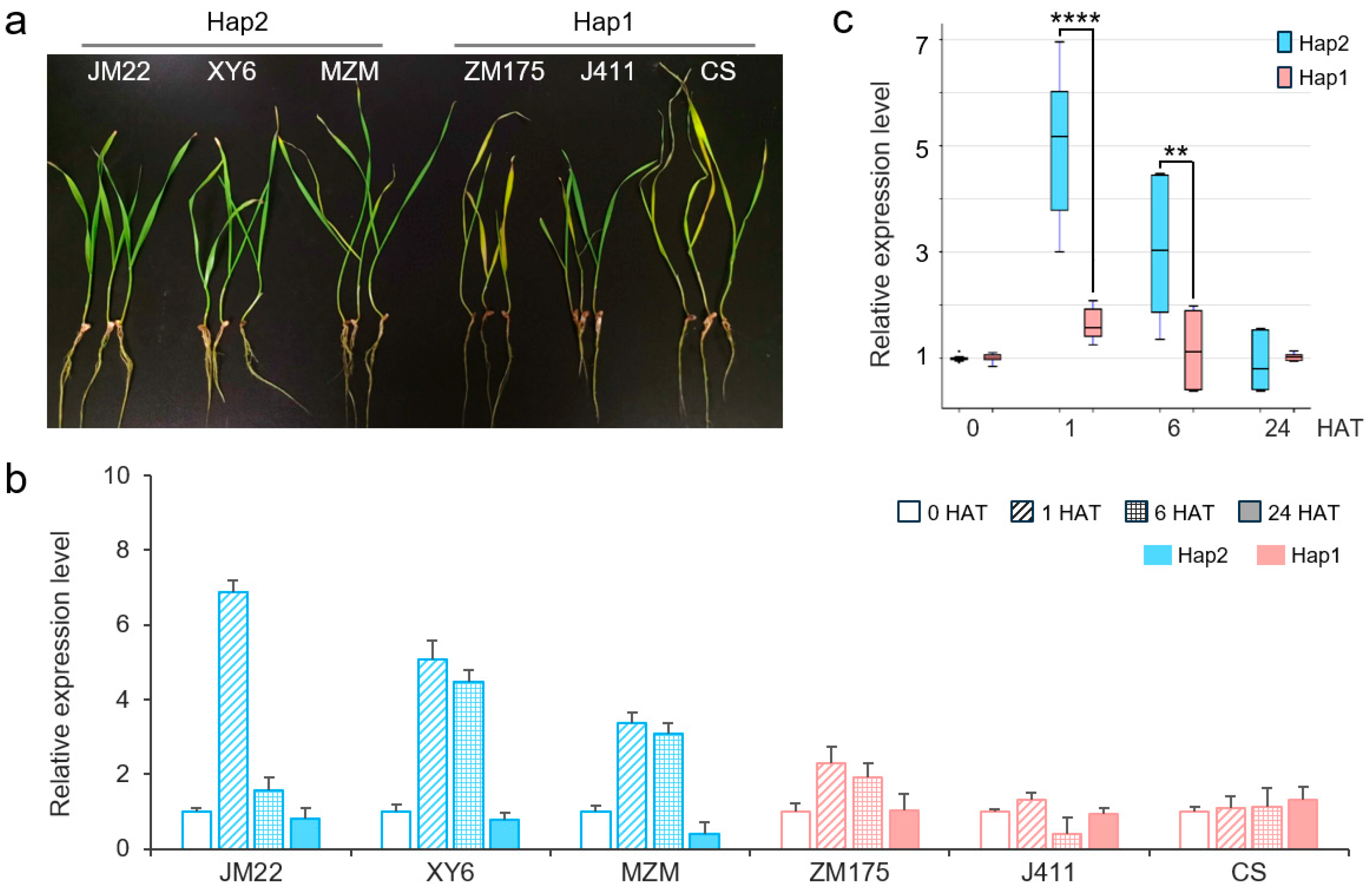 Plants 14 00621 g005