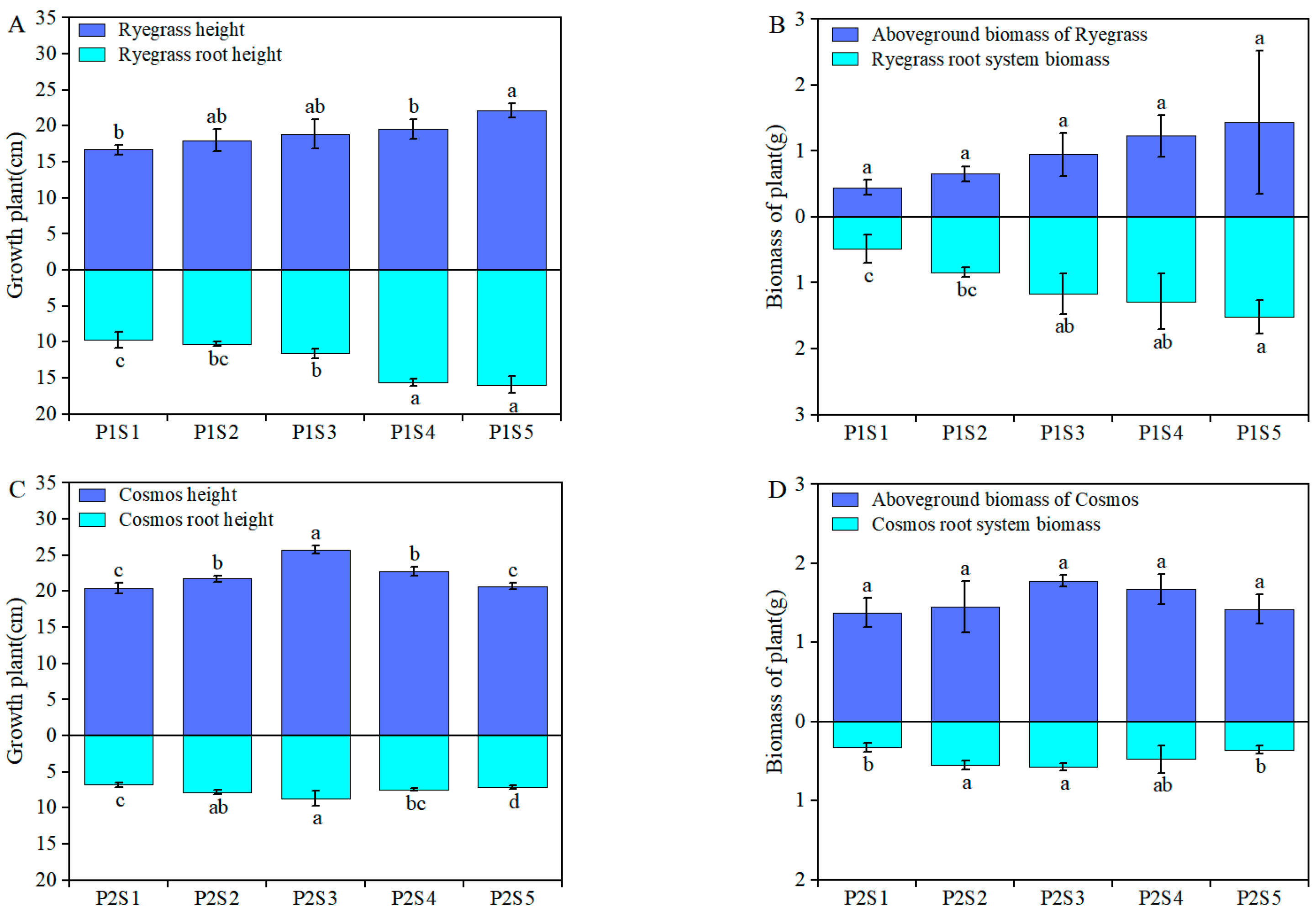 Plants 14 00641 g001