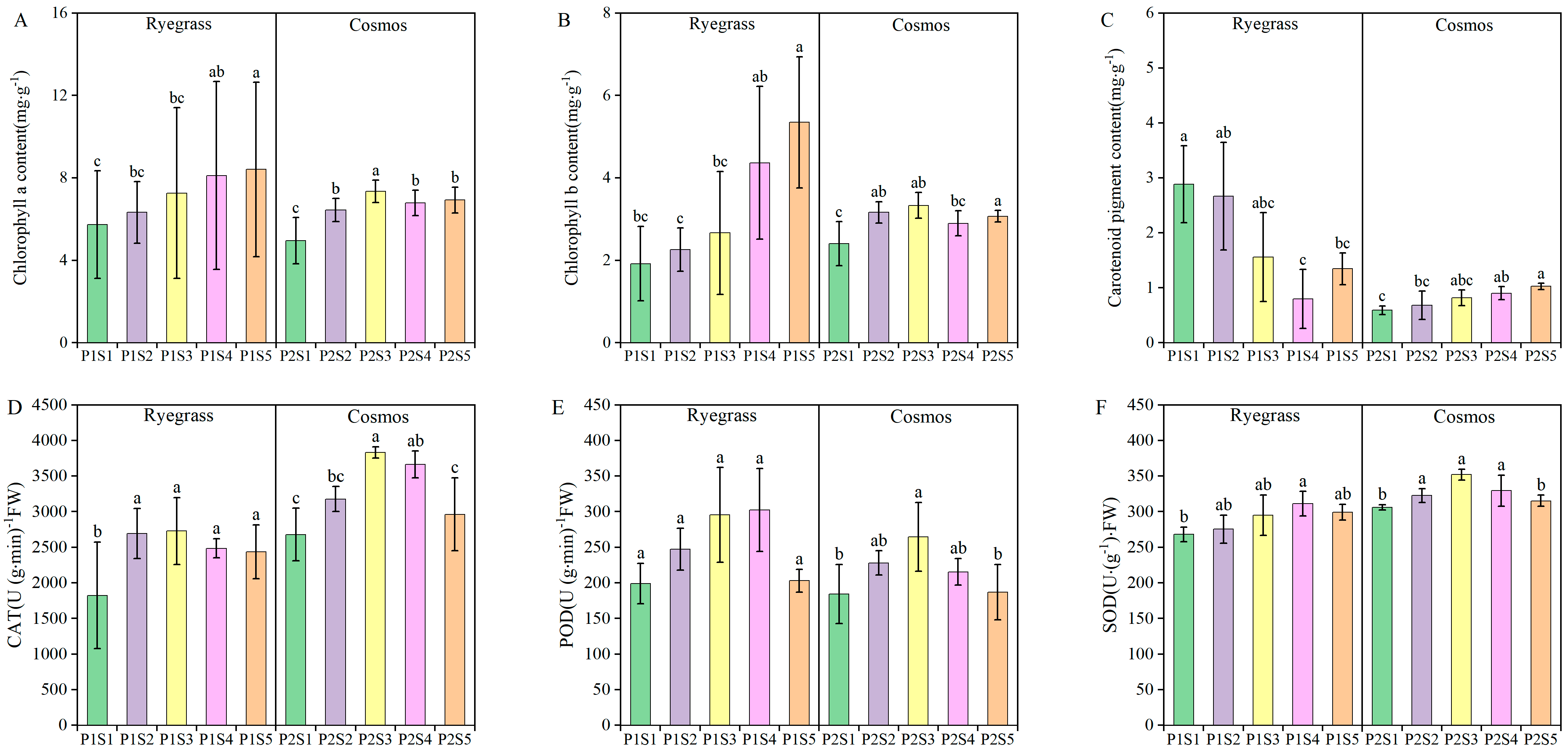 Plants 14 00641 g002
