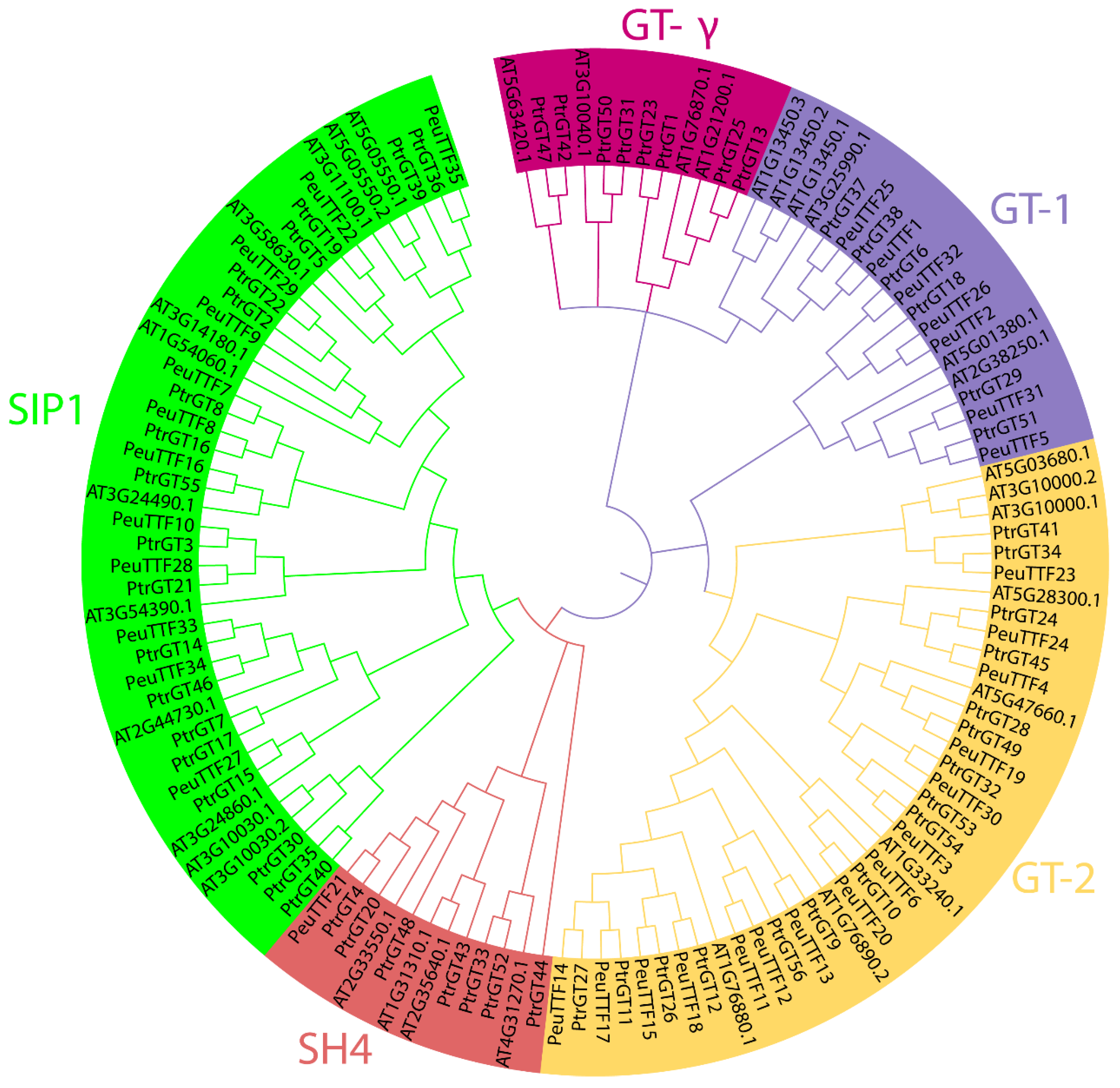 Plants 14 00662 g001