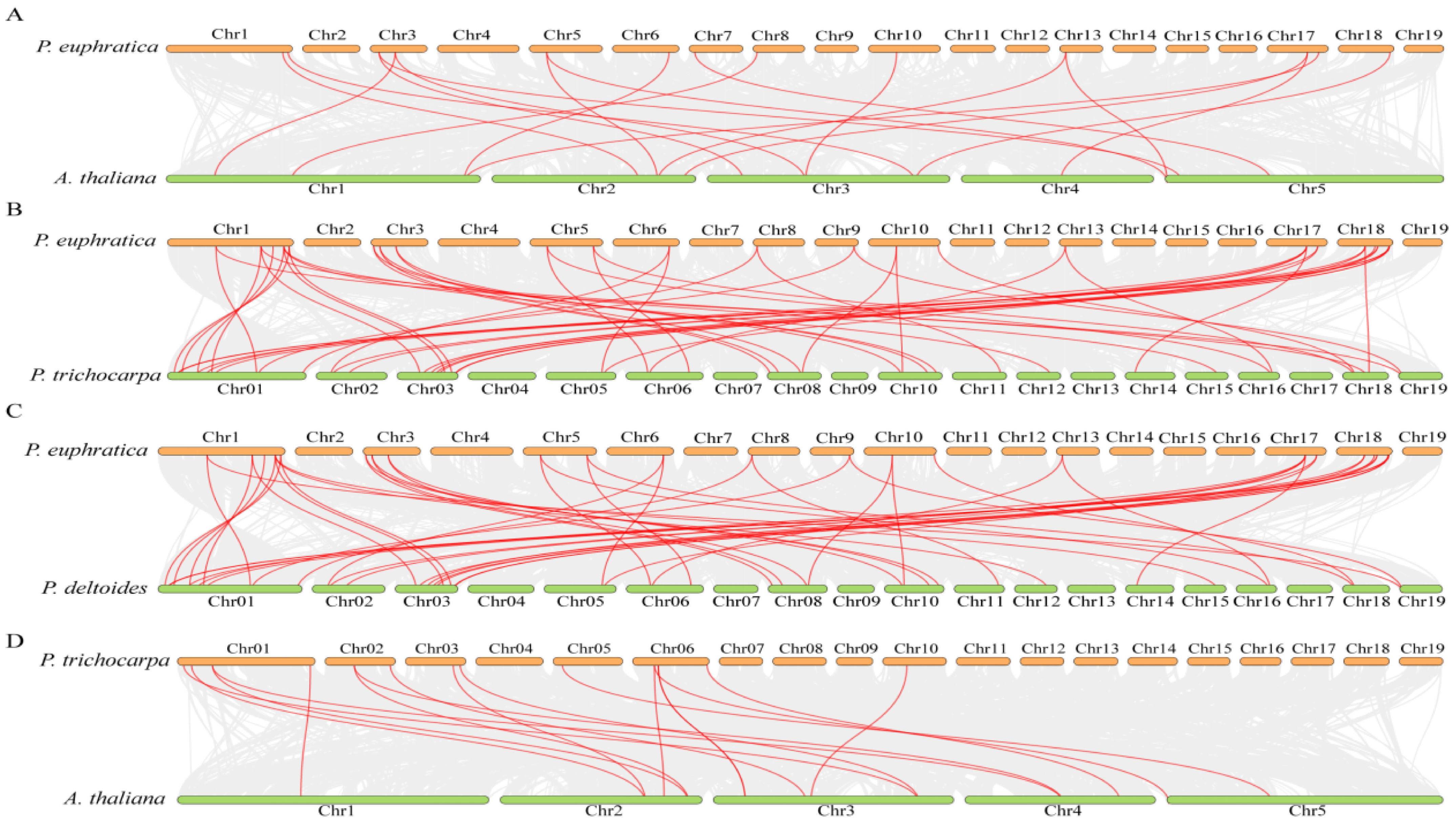 Plants 14 00662 g005