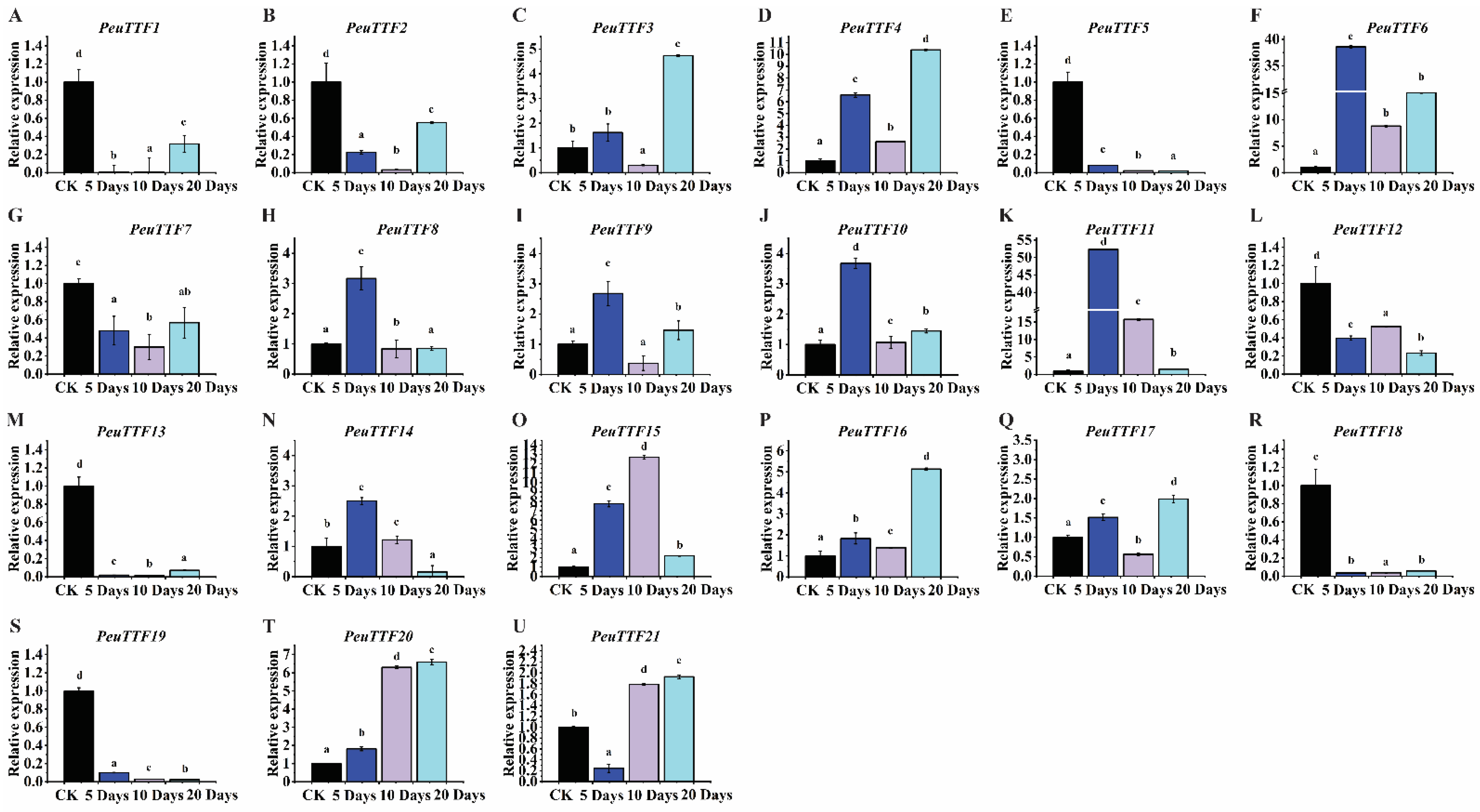 Plants 14 00662 g007