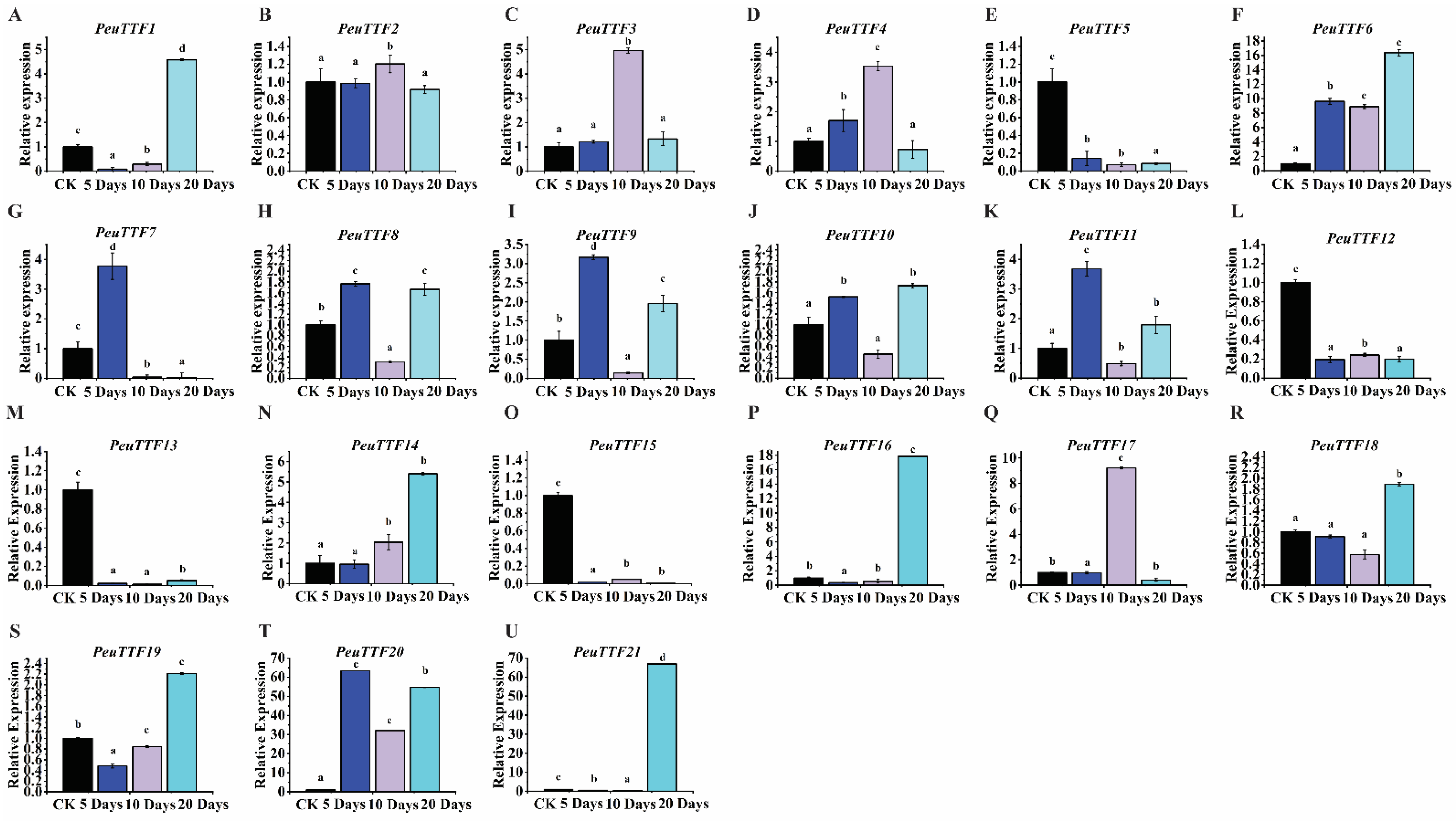 Plants 14 00662 g008