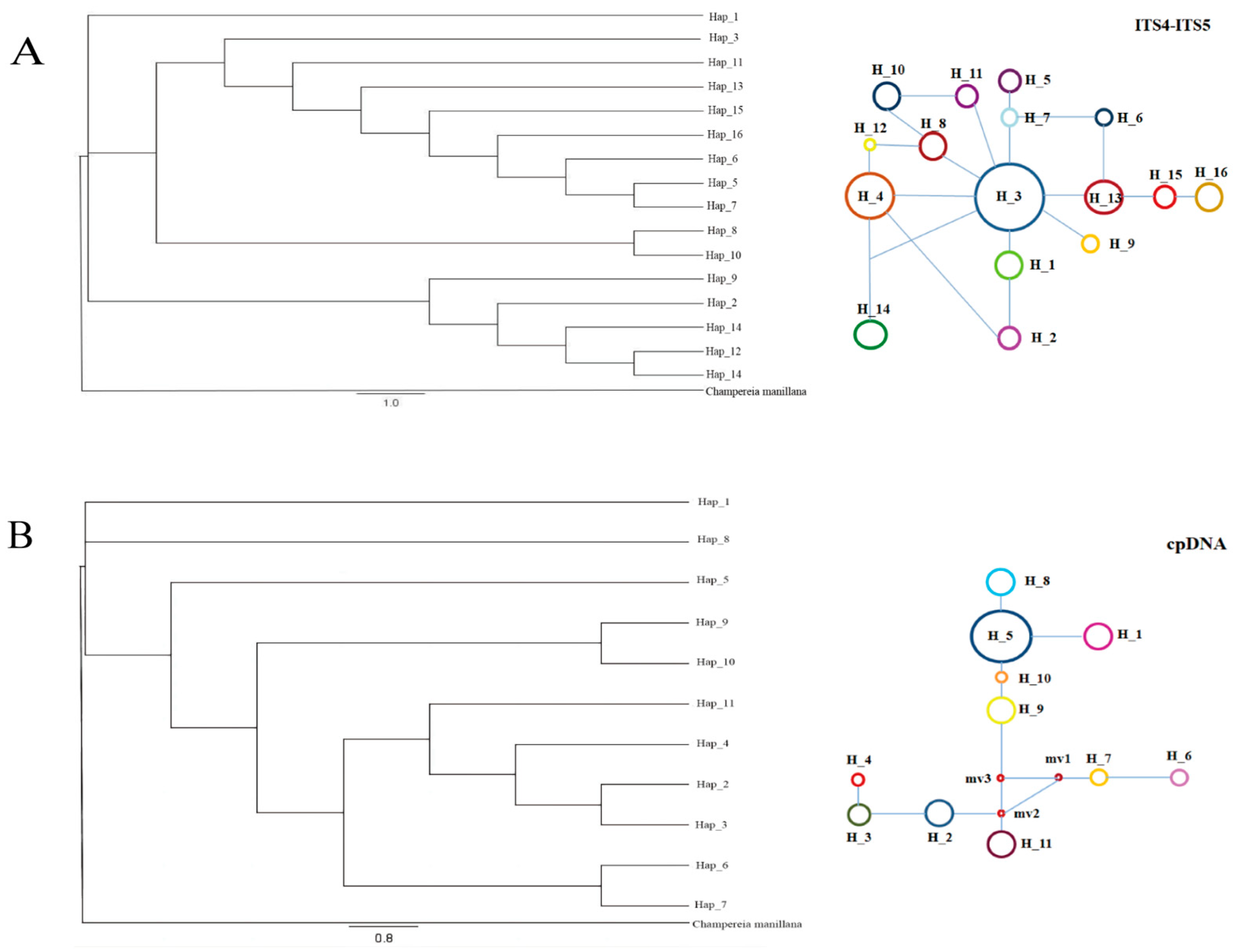 Plants 14 00706 g002