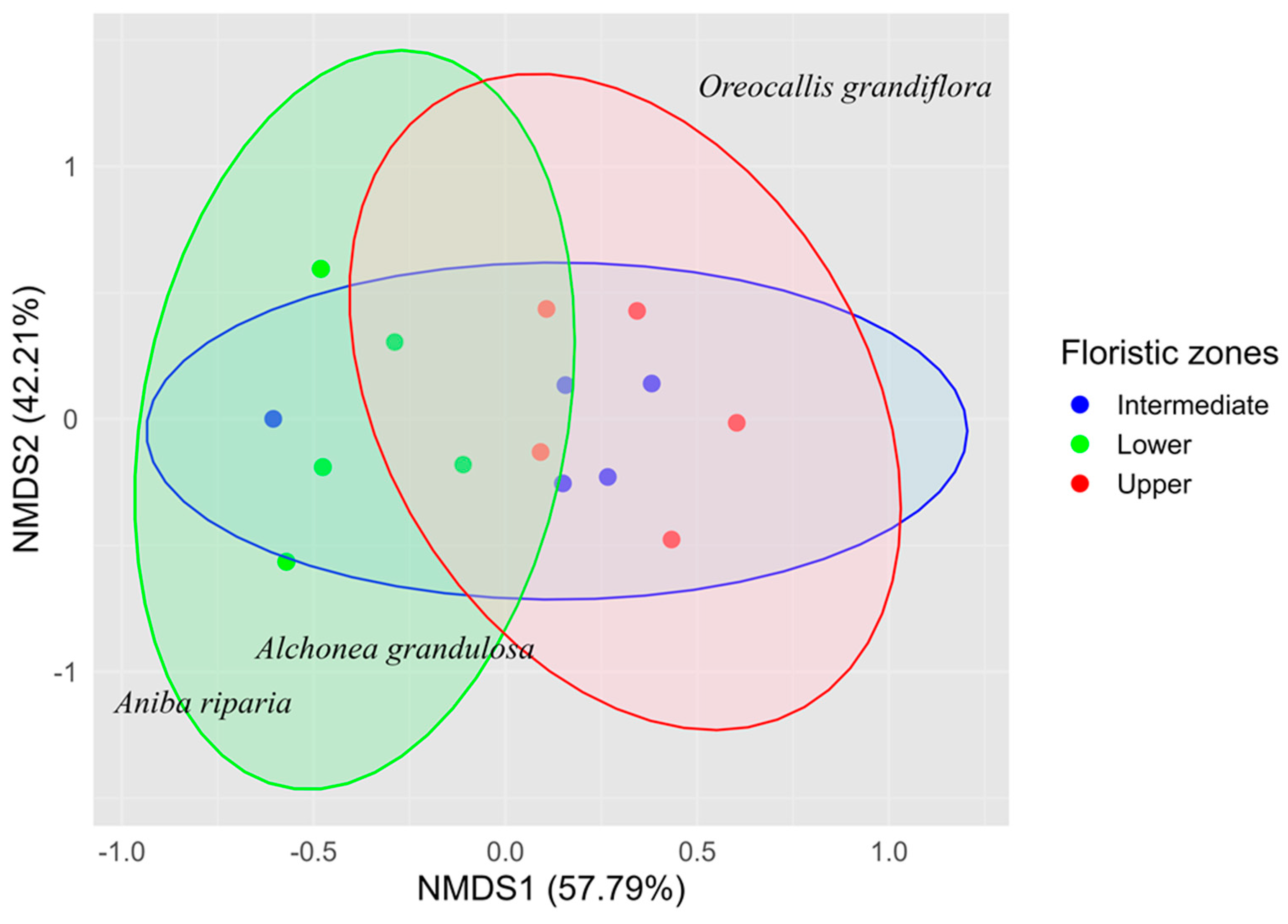 Plants 14 00744 g001 Plants 14 00744 g001