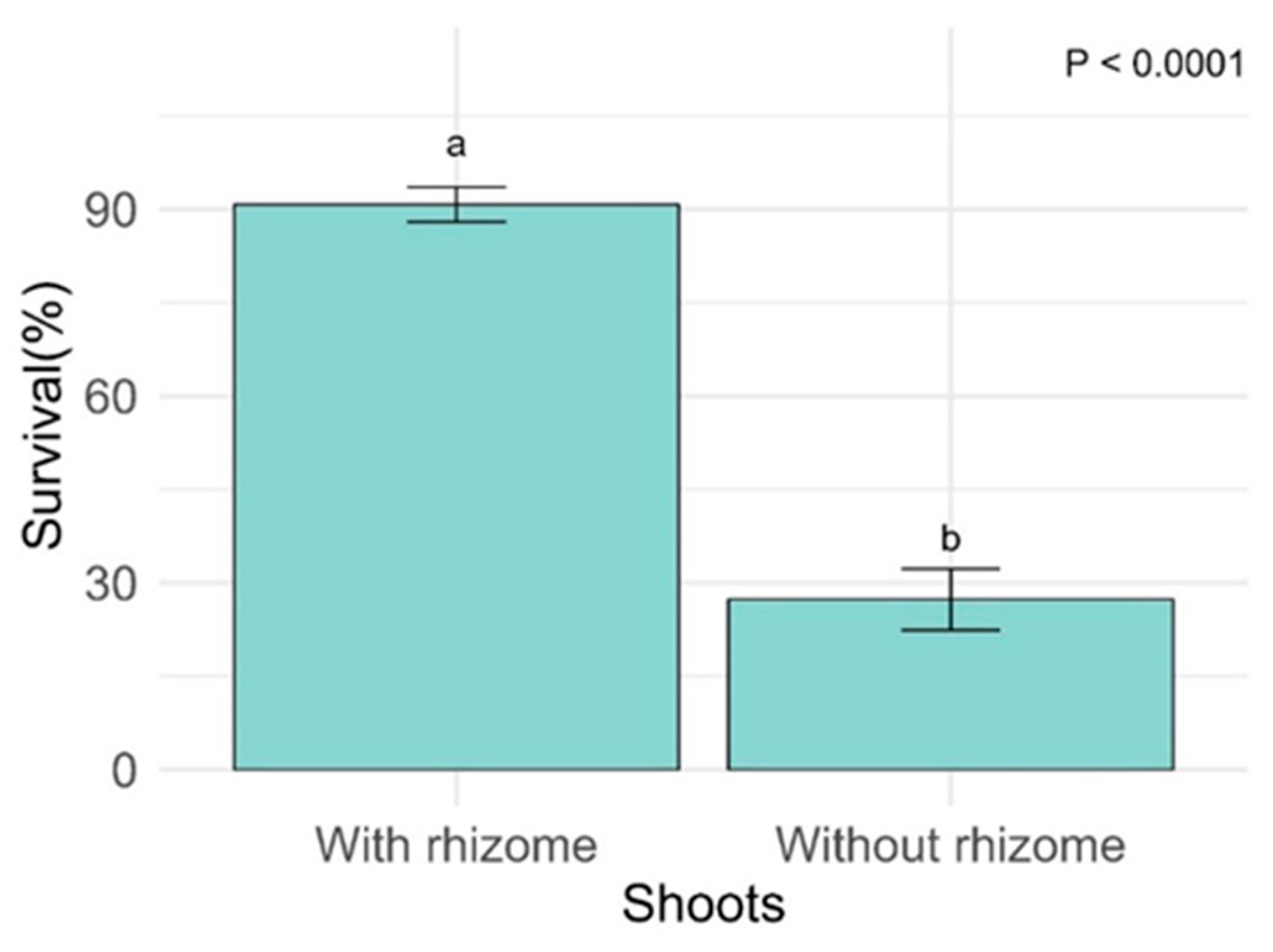 Plants 14 00744 g003 Plants 14 00744 g003