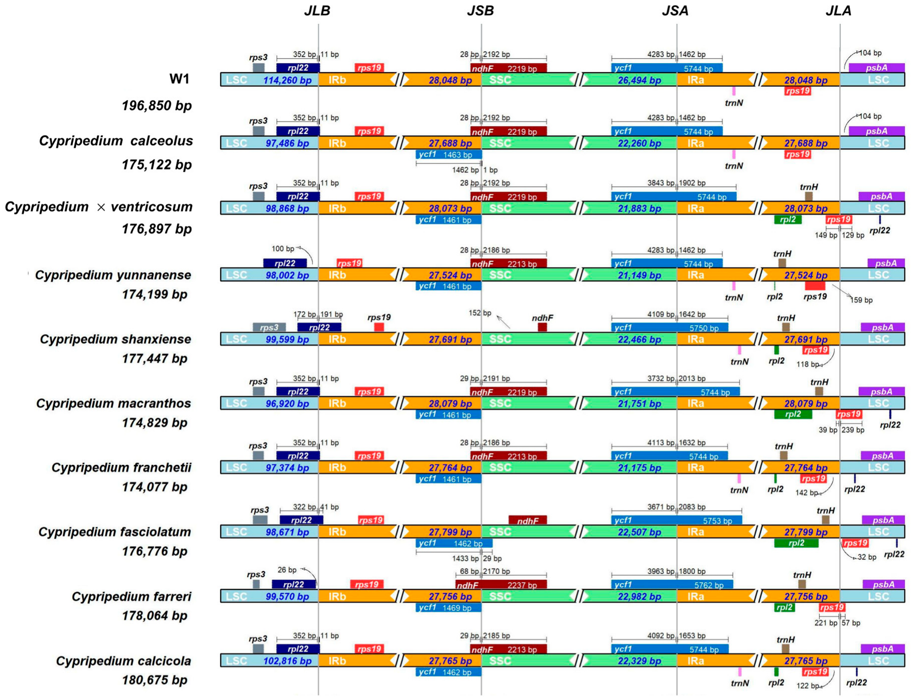 Plants 14 00772 g010 Plants 14 00772 g010