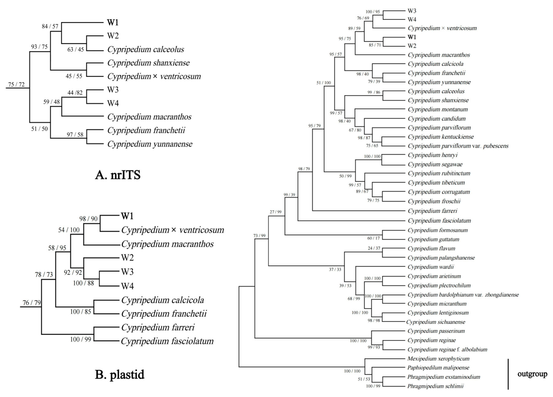 Plants 14 00772 g011 Plants 14 00772 g011